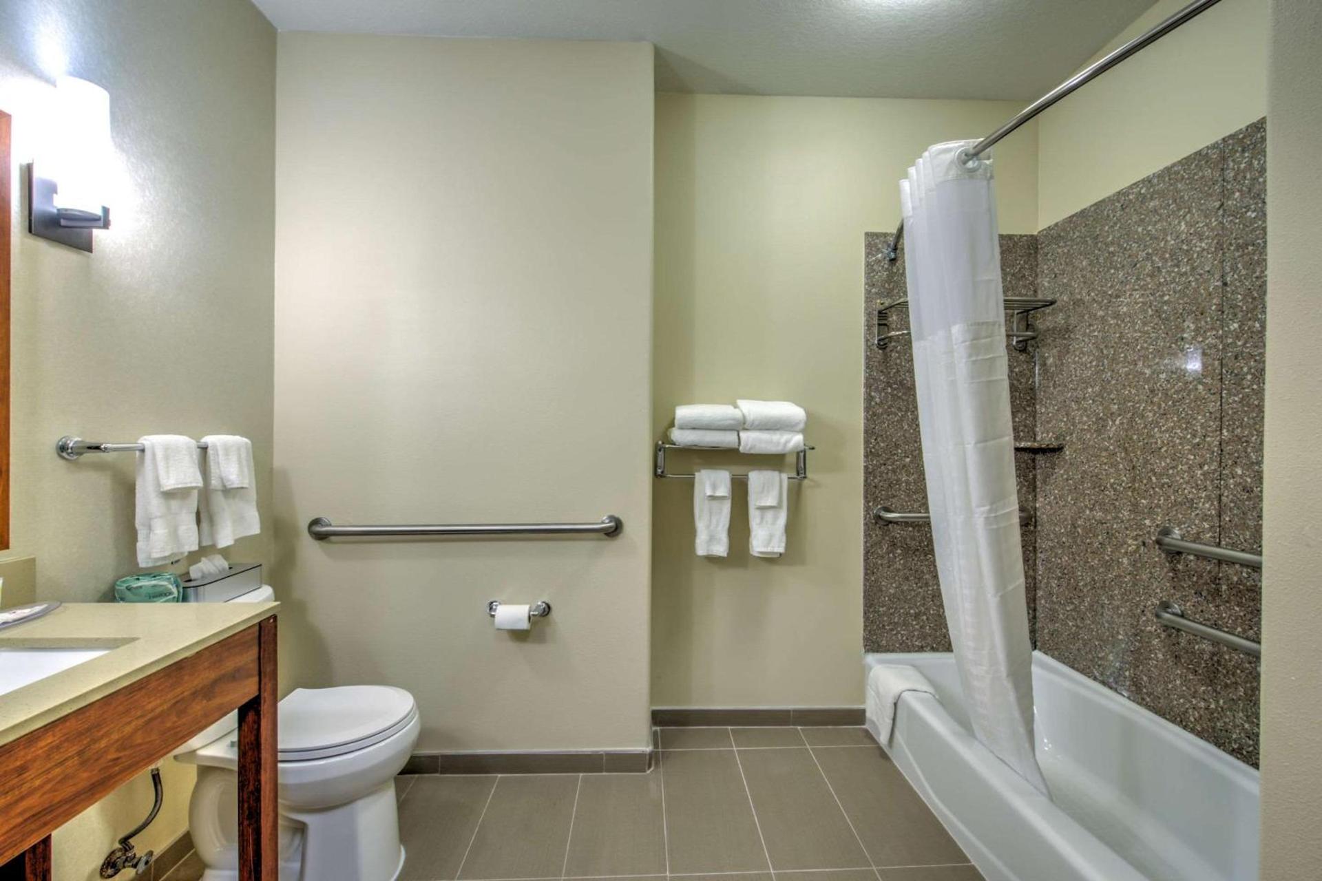 Comfort Suites Tomball Medical Center photo 21