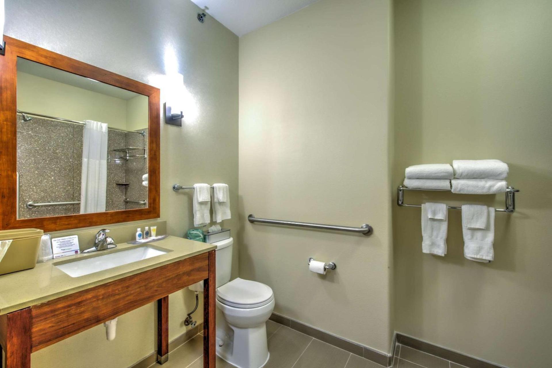 Comfort Suites Tomball Medical Center photo 22