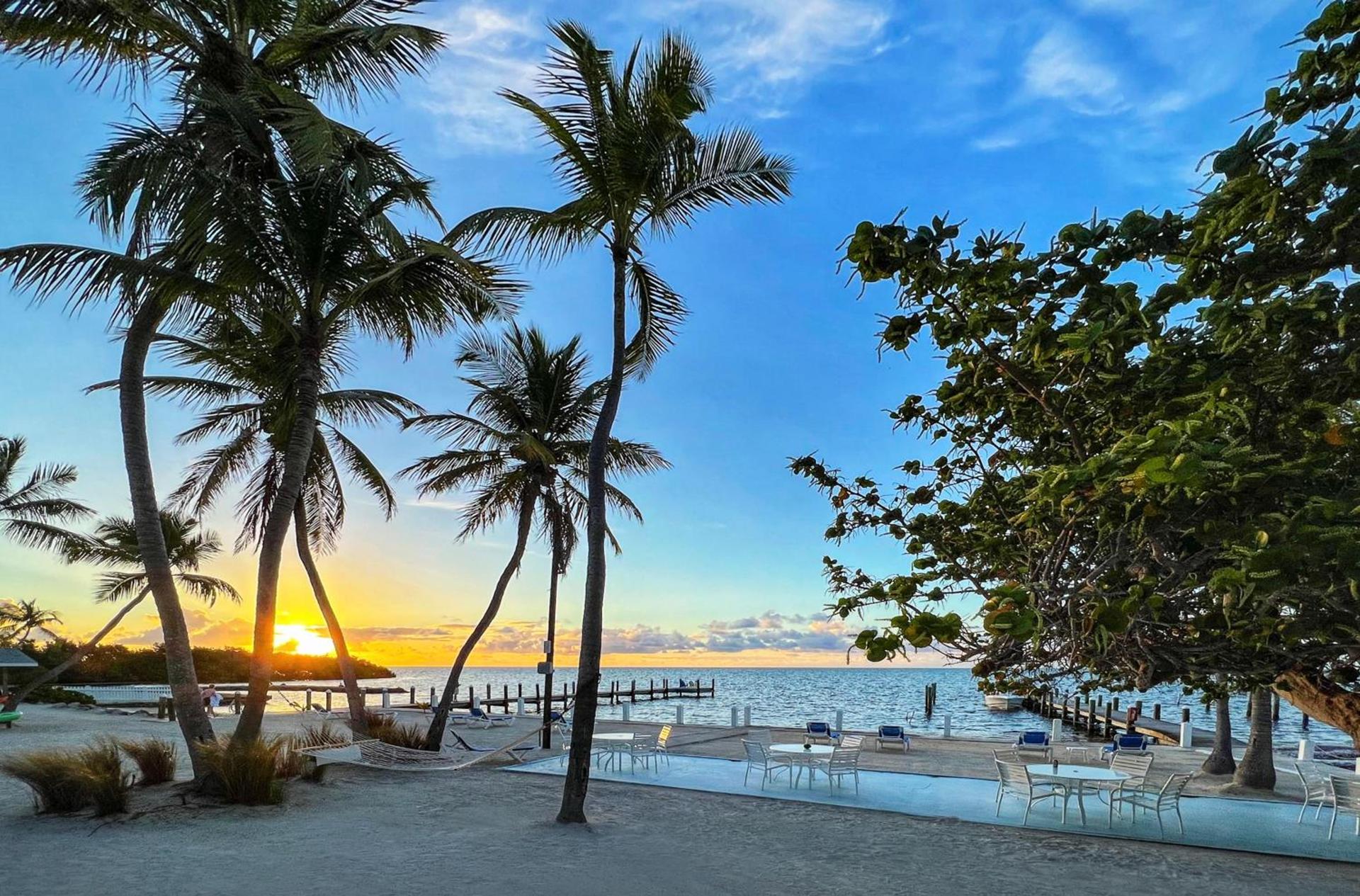 Pines & Palms Resort photo 7