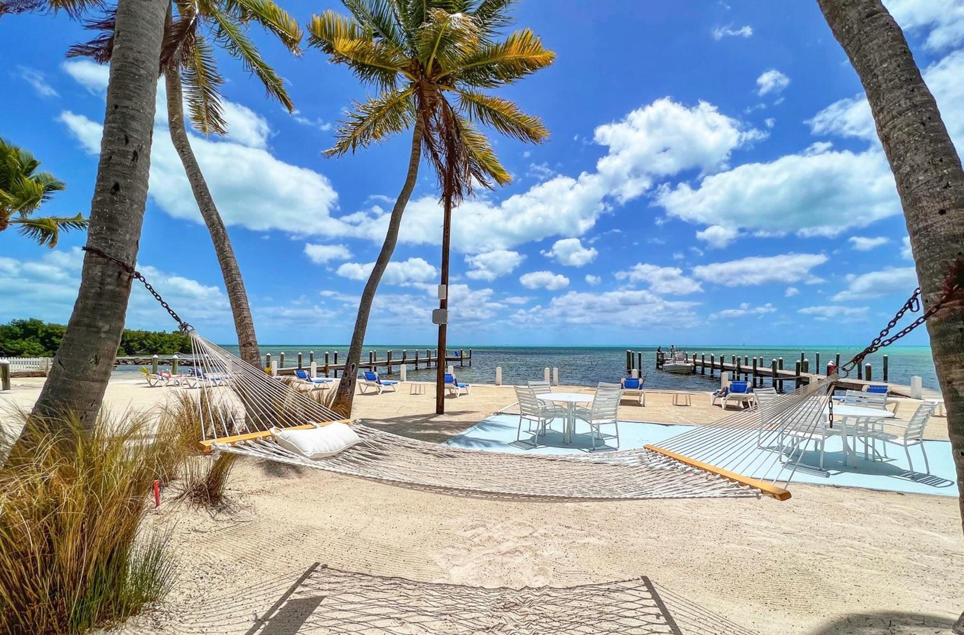 Pines & Palms Resort photo 9