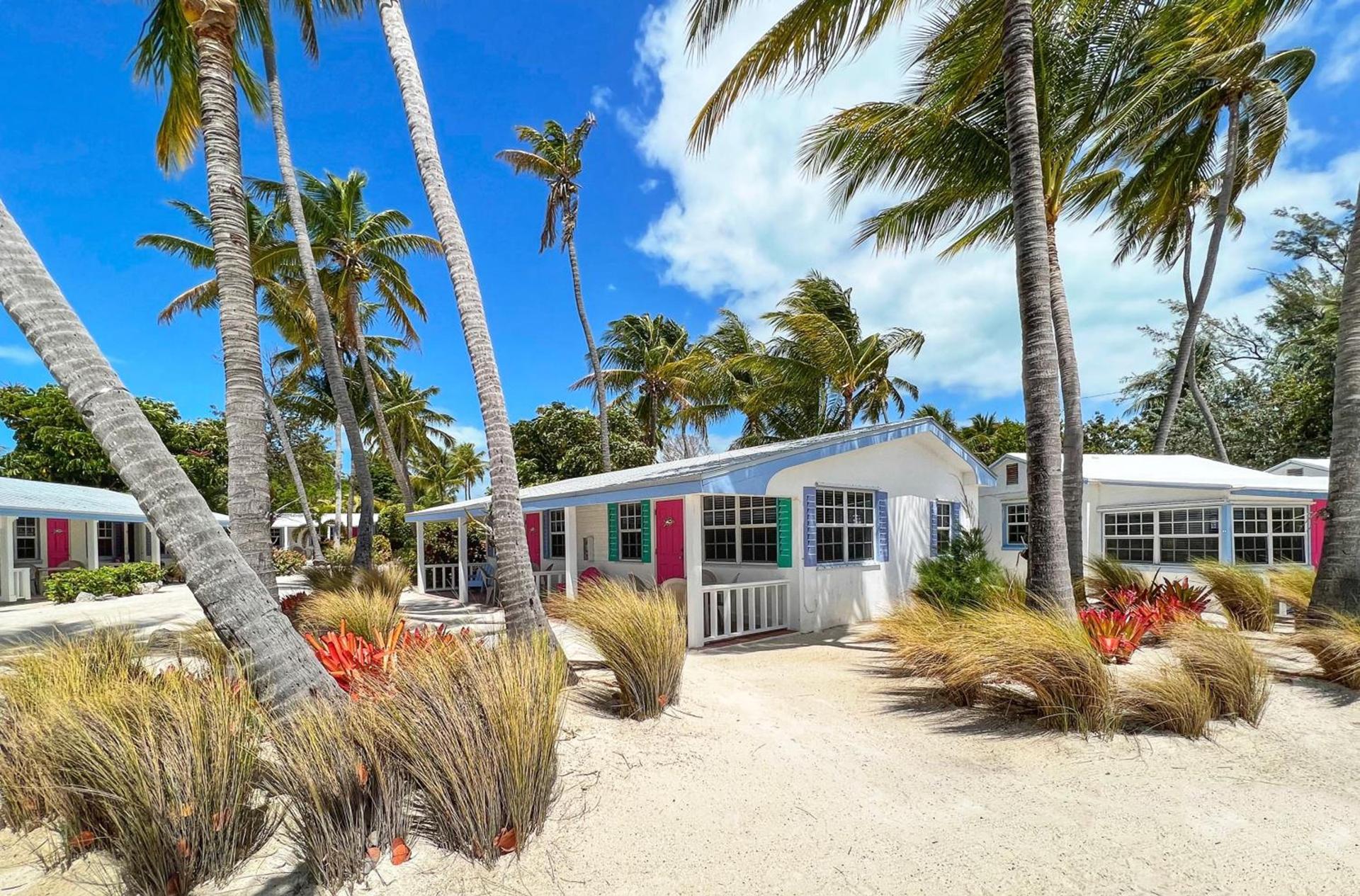 Pines & Palms Resort photo 60