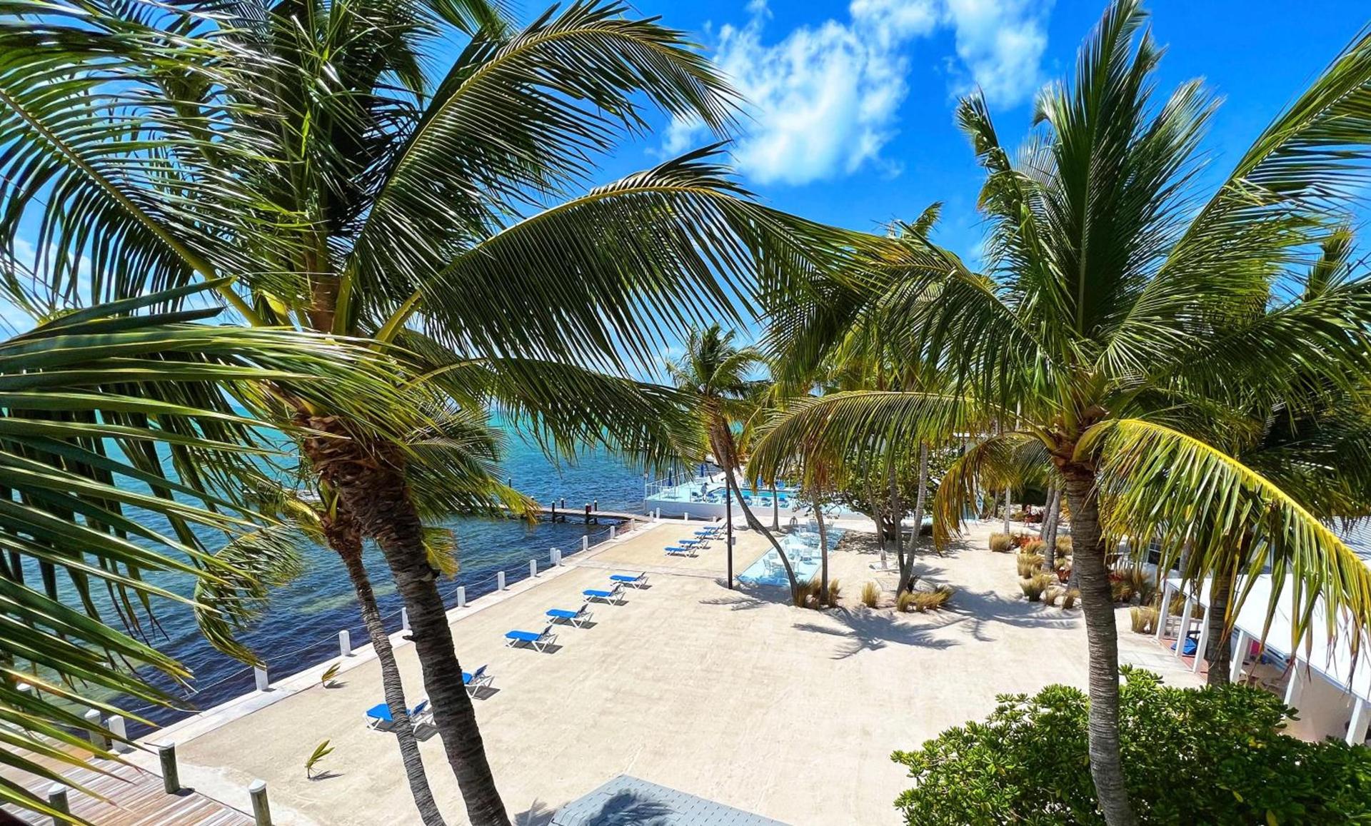 Pines & Palms Resort photo 5