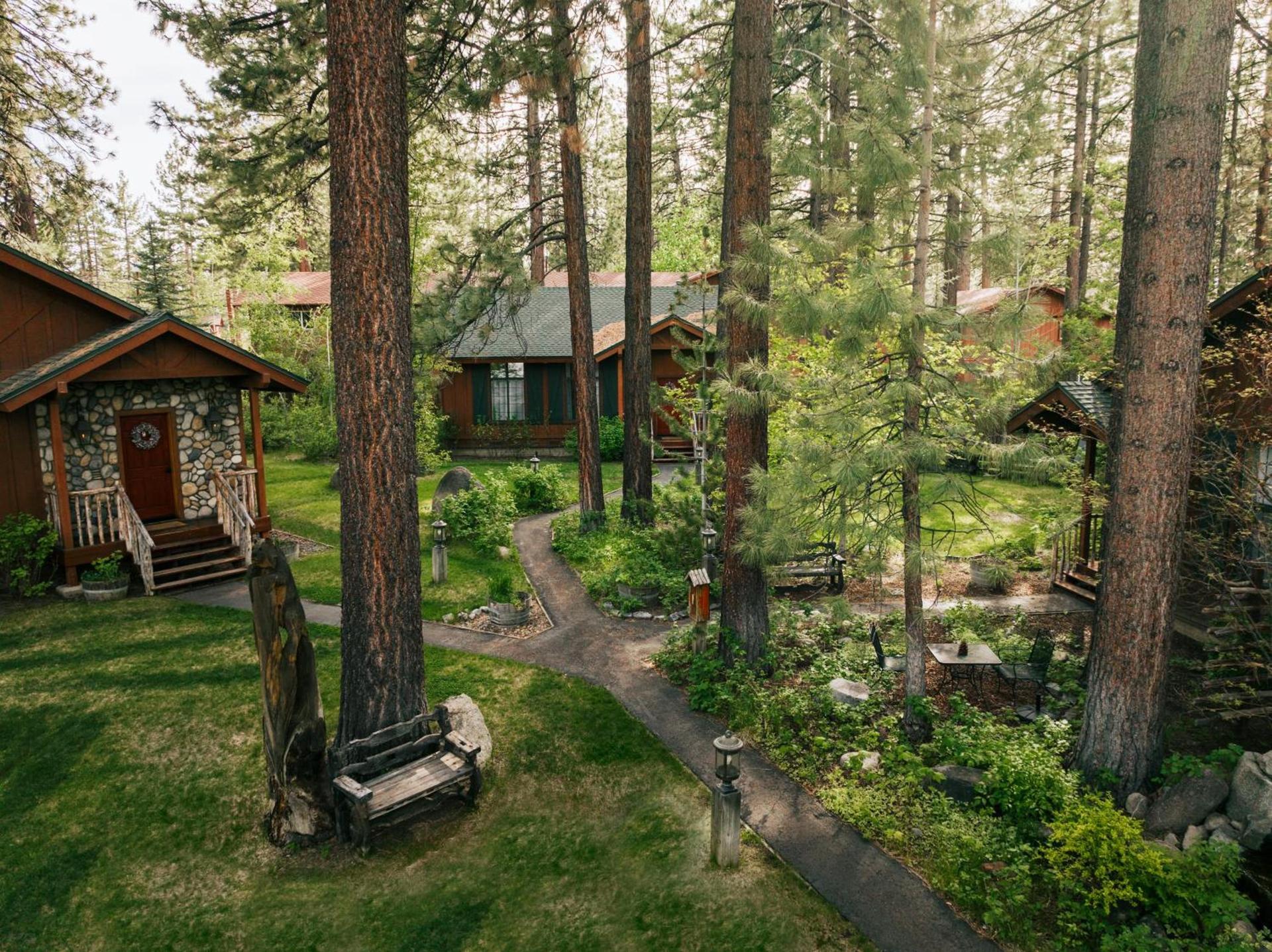 Black Bear Lodge photo 51