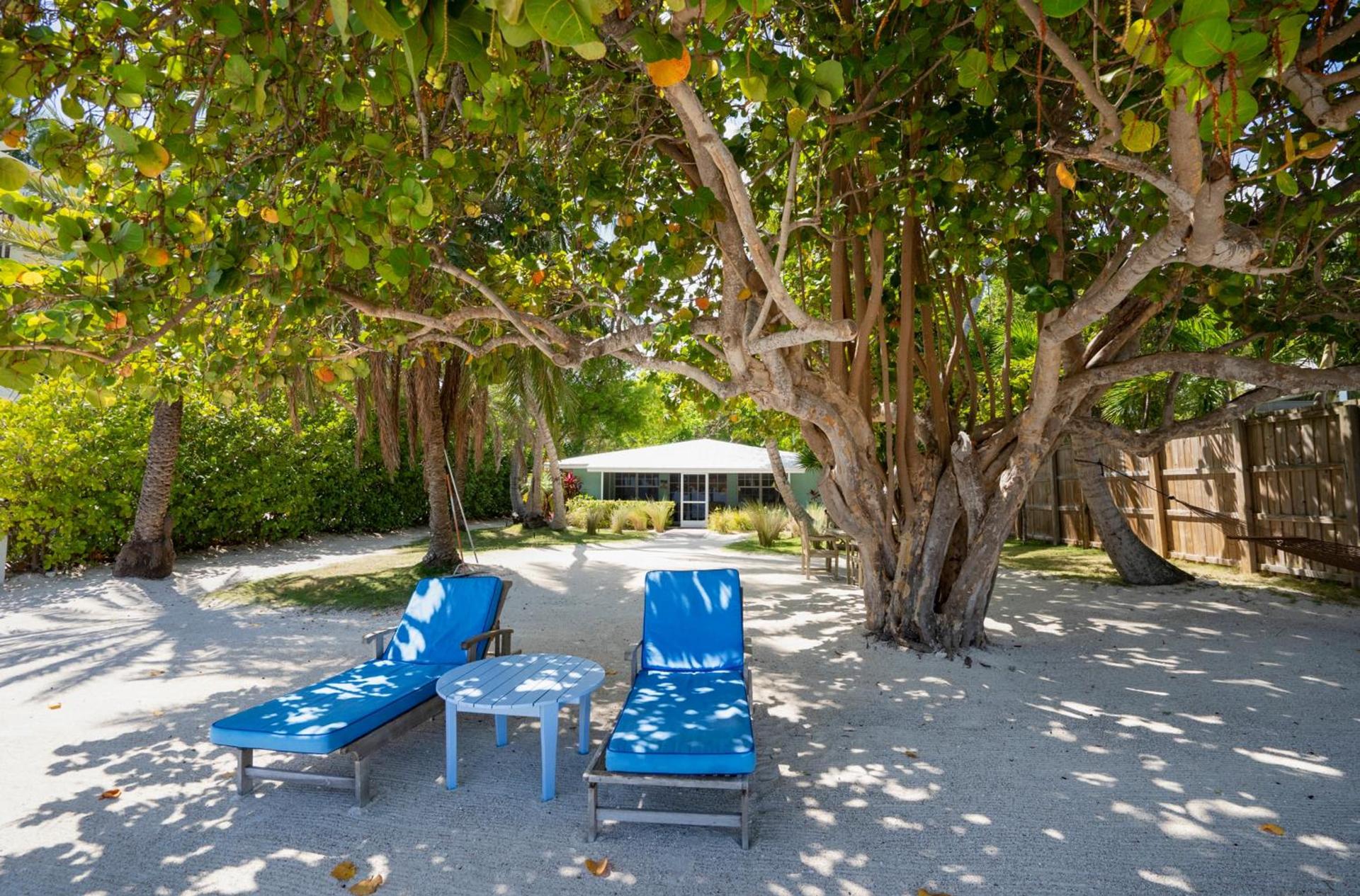 Pines & Palms Resort photo 95