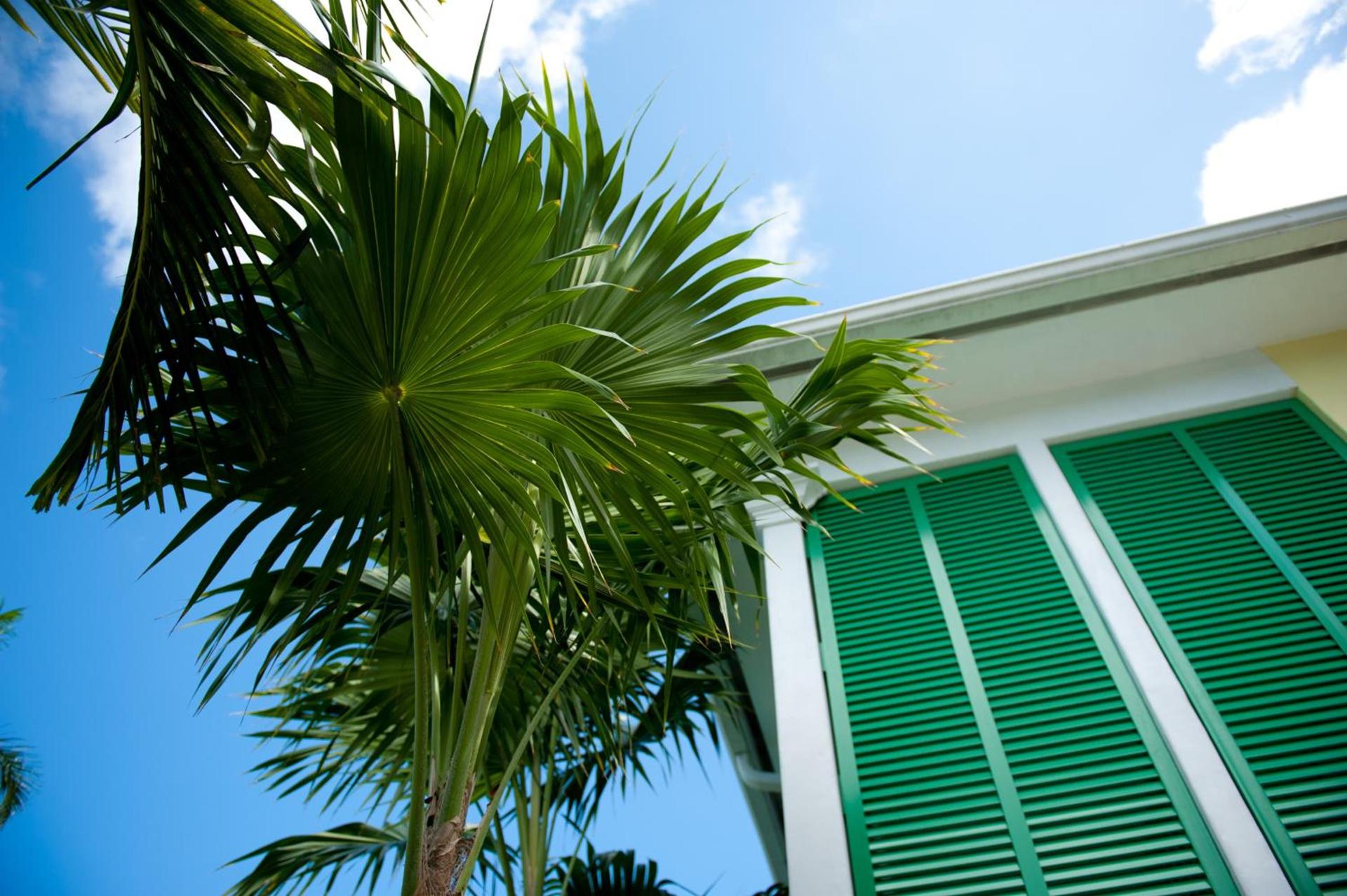 Almond Tree Inn - Adults Only — hotel in Key West, FL
