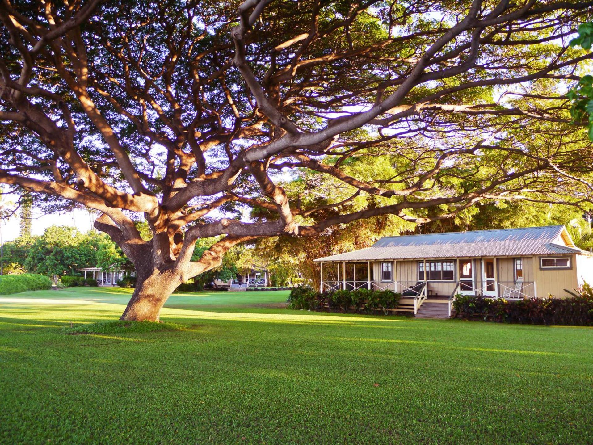 Waimea Plantation Cottages, a Coast Resort photo 58