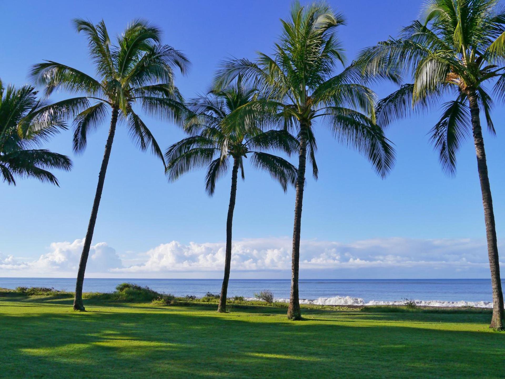 Waimea Plantation Cottages, a Coast Resort photo 52