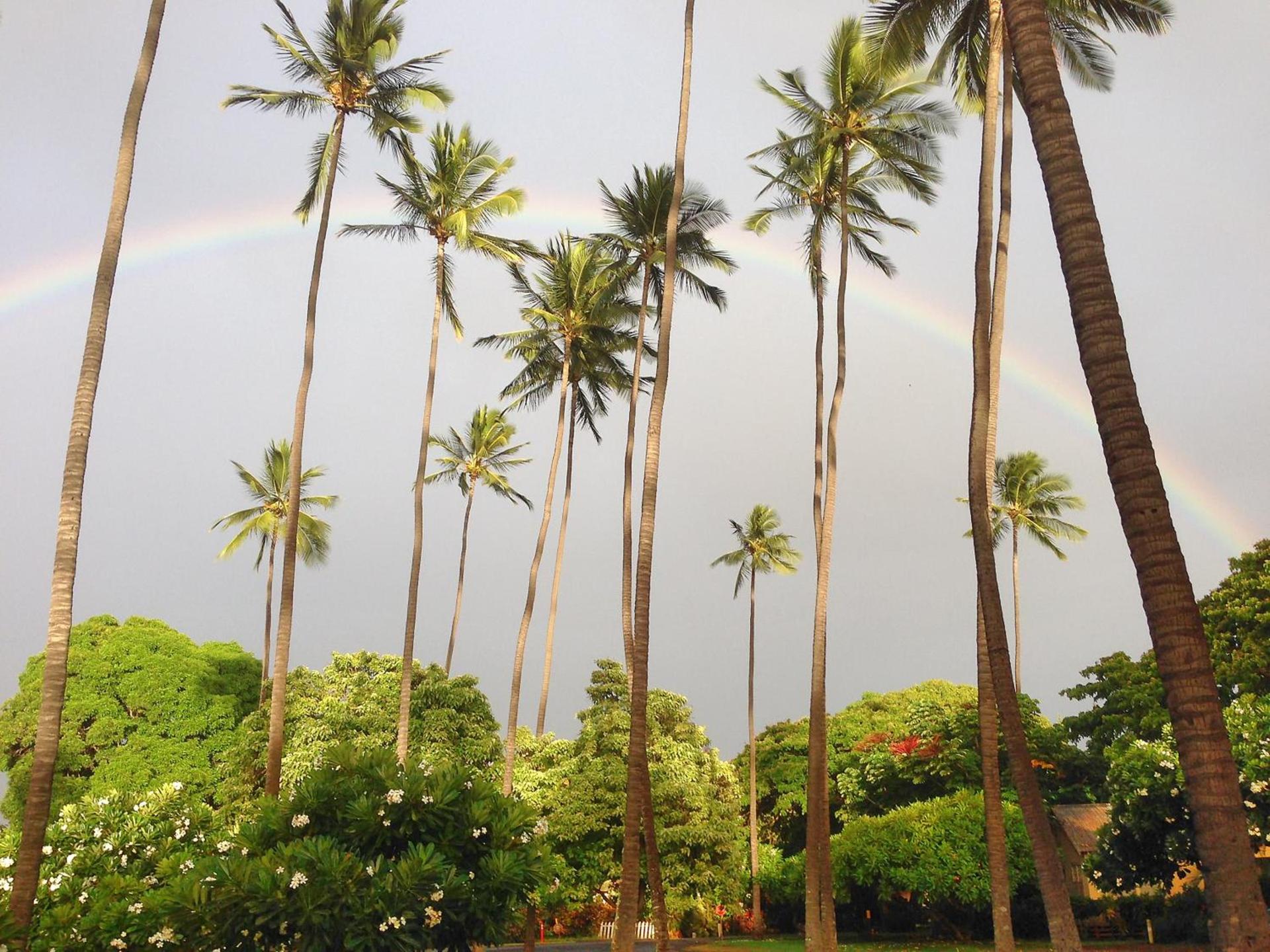 Waimea Plantation Cottages, a Coast Resort photo 51