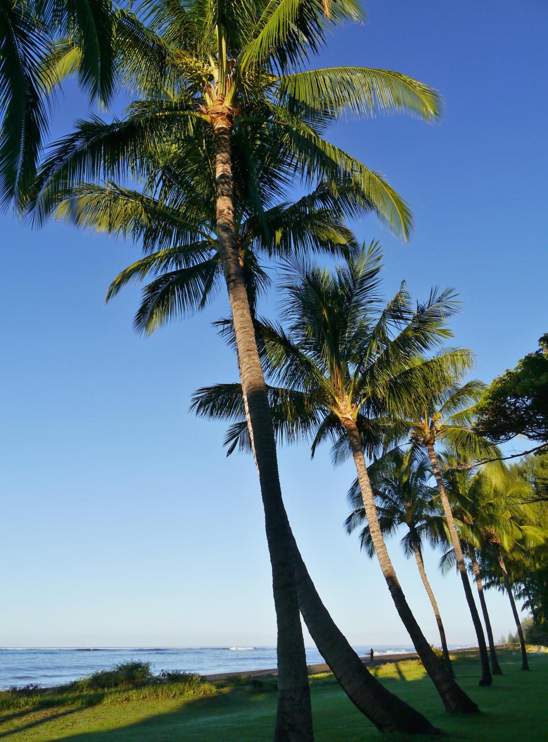 Waimea Plantation Cottages, a Coast Resort photo 50