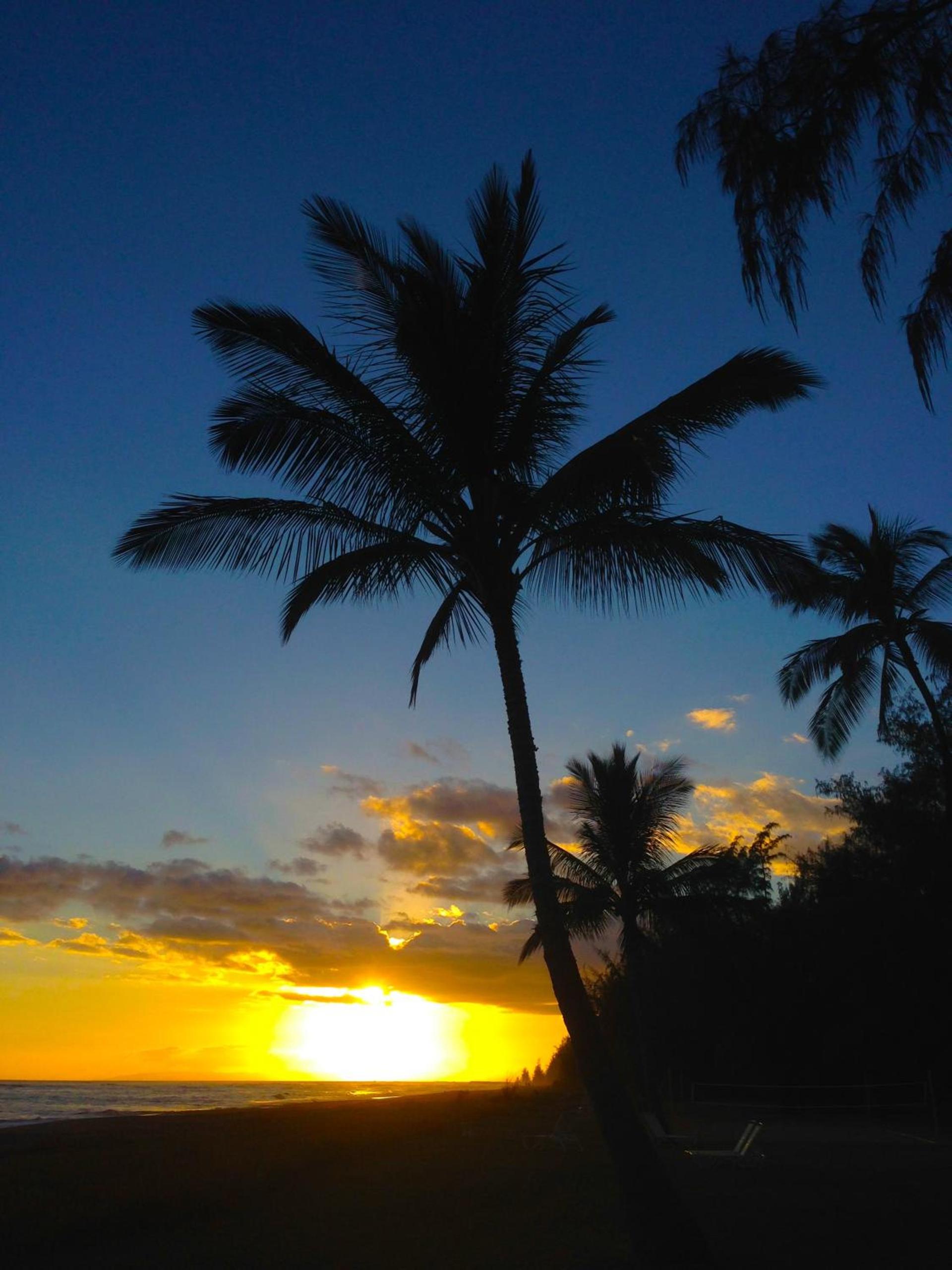 Waimea Plantation Cottages, a Coast Resort photo 44