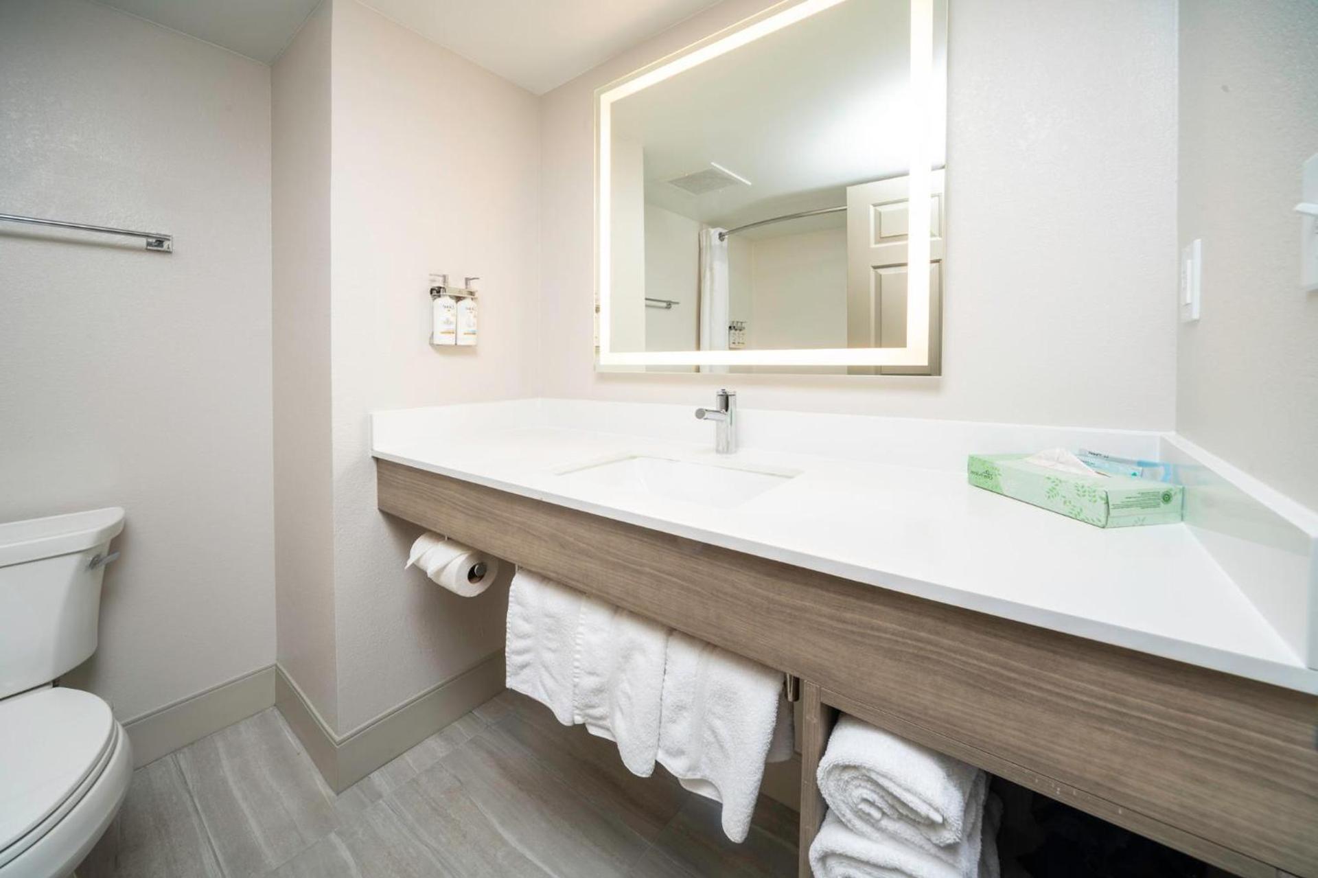 Holiday Inn Express and Suites Atlanta-Johns Creek by IHG photo 34