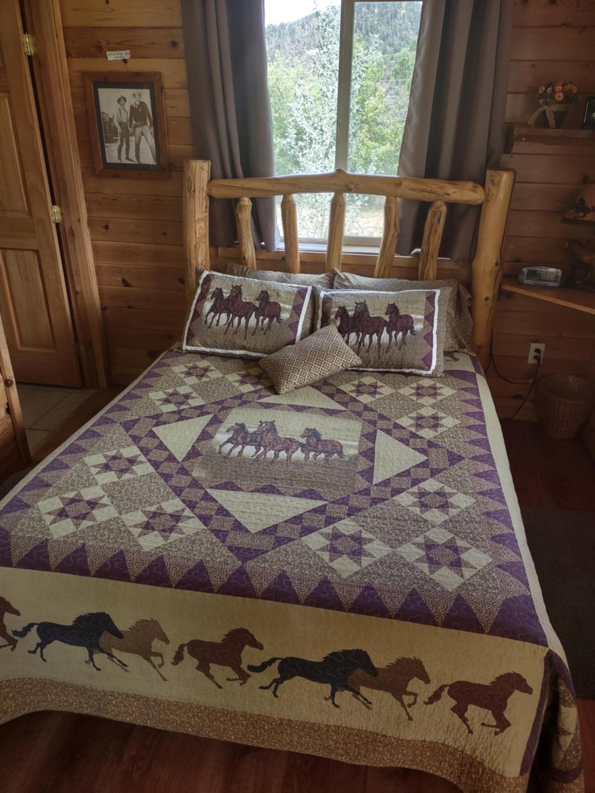 The Wandering Star Inn photo 11