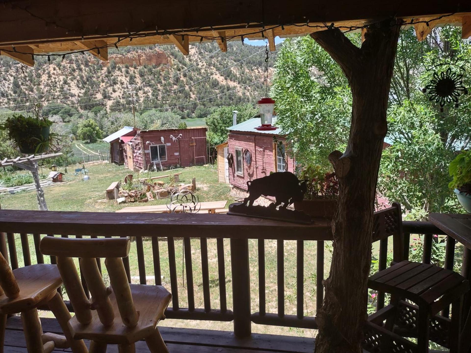 The Wandering Star Inn photo 28