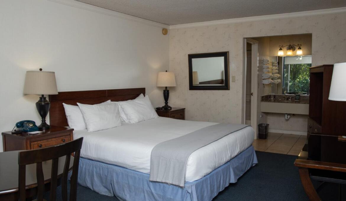 The Occidental Lodge photo 52