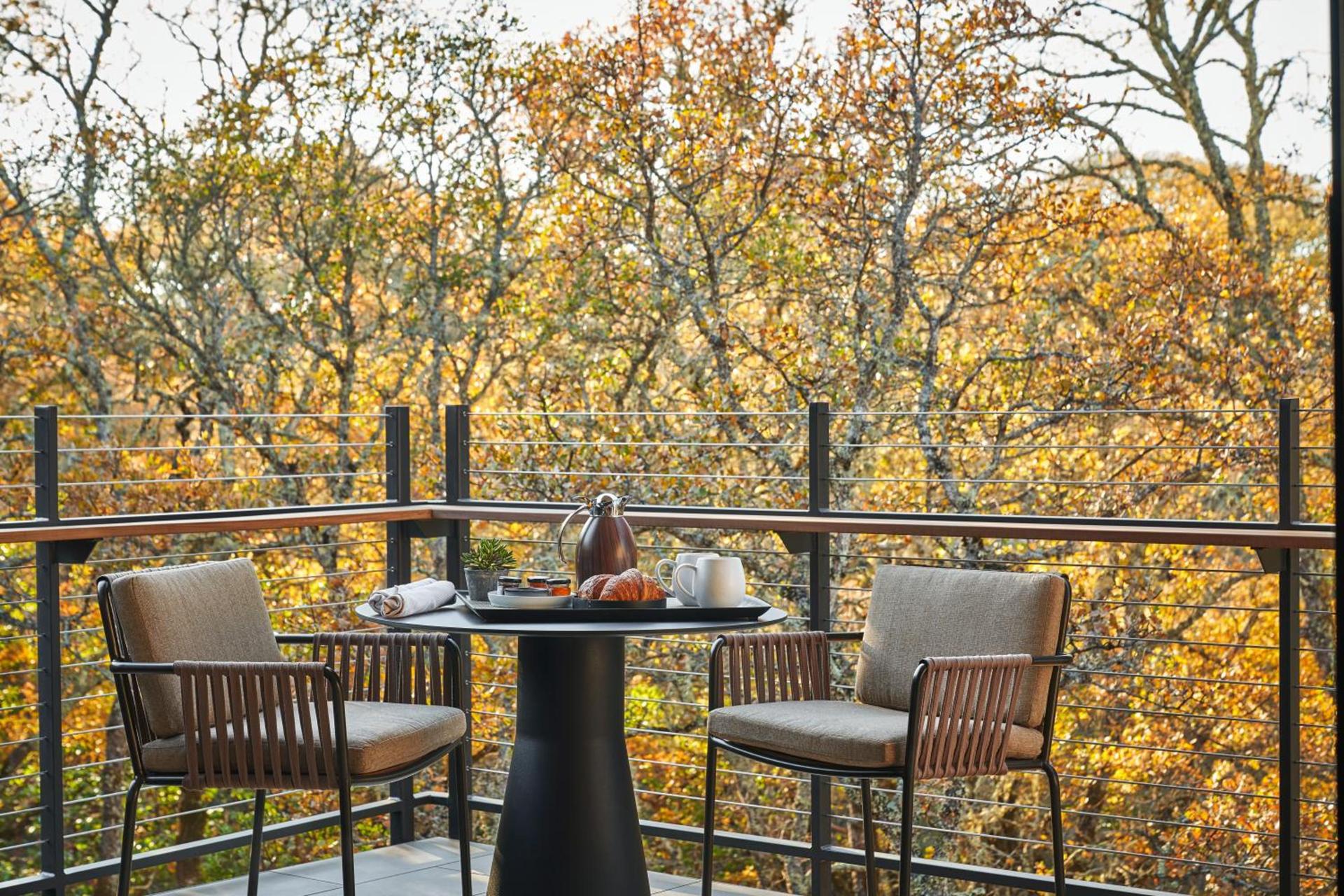 Montage Healdsburg photo 29