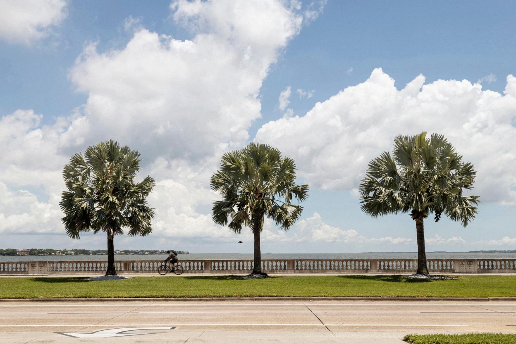 ROOST Tampa photo 78