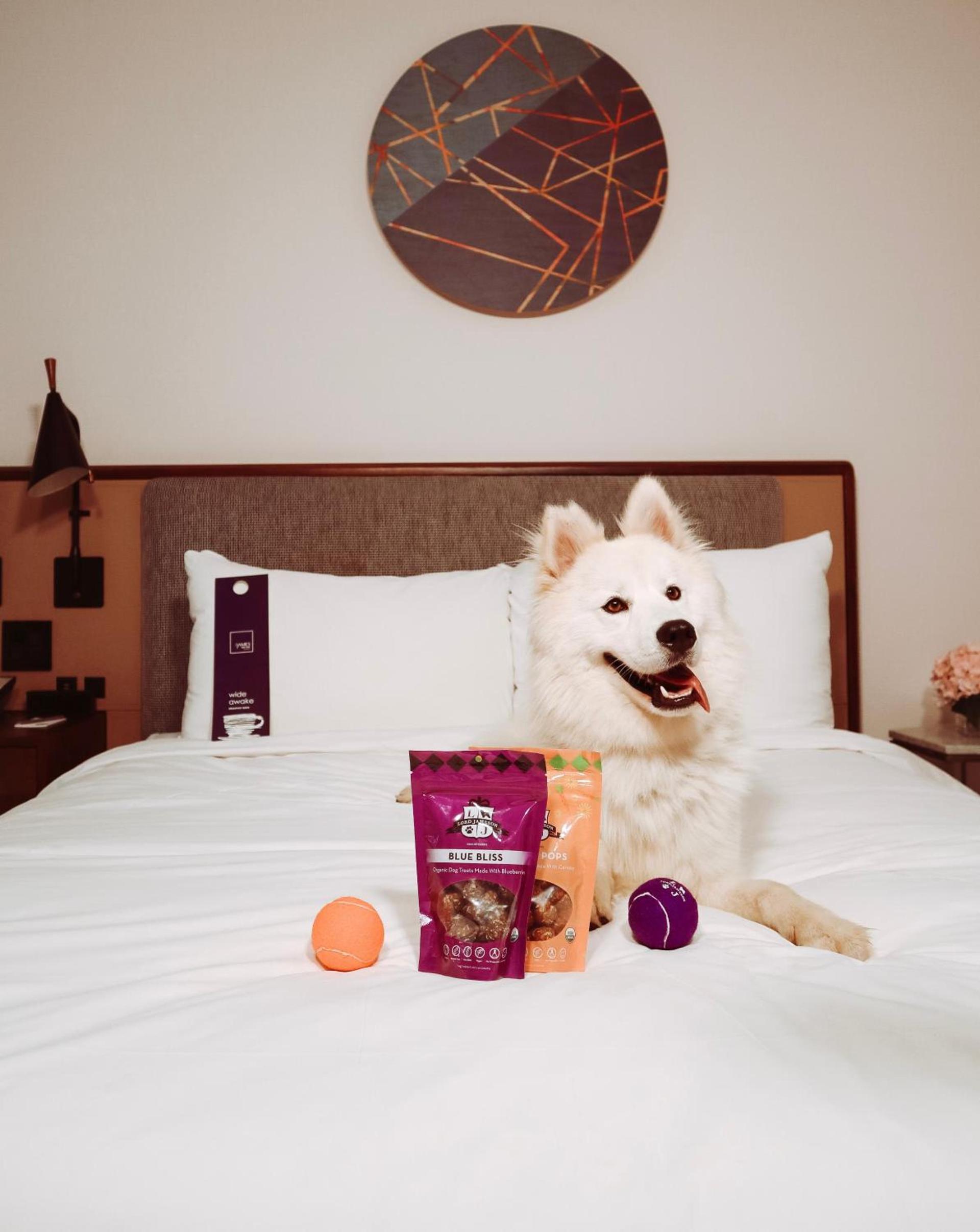 Hotel Seville NoMad - The Unbound Collection by Hyatt photo 39