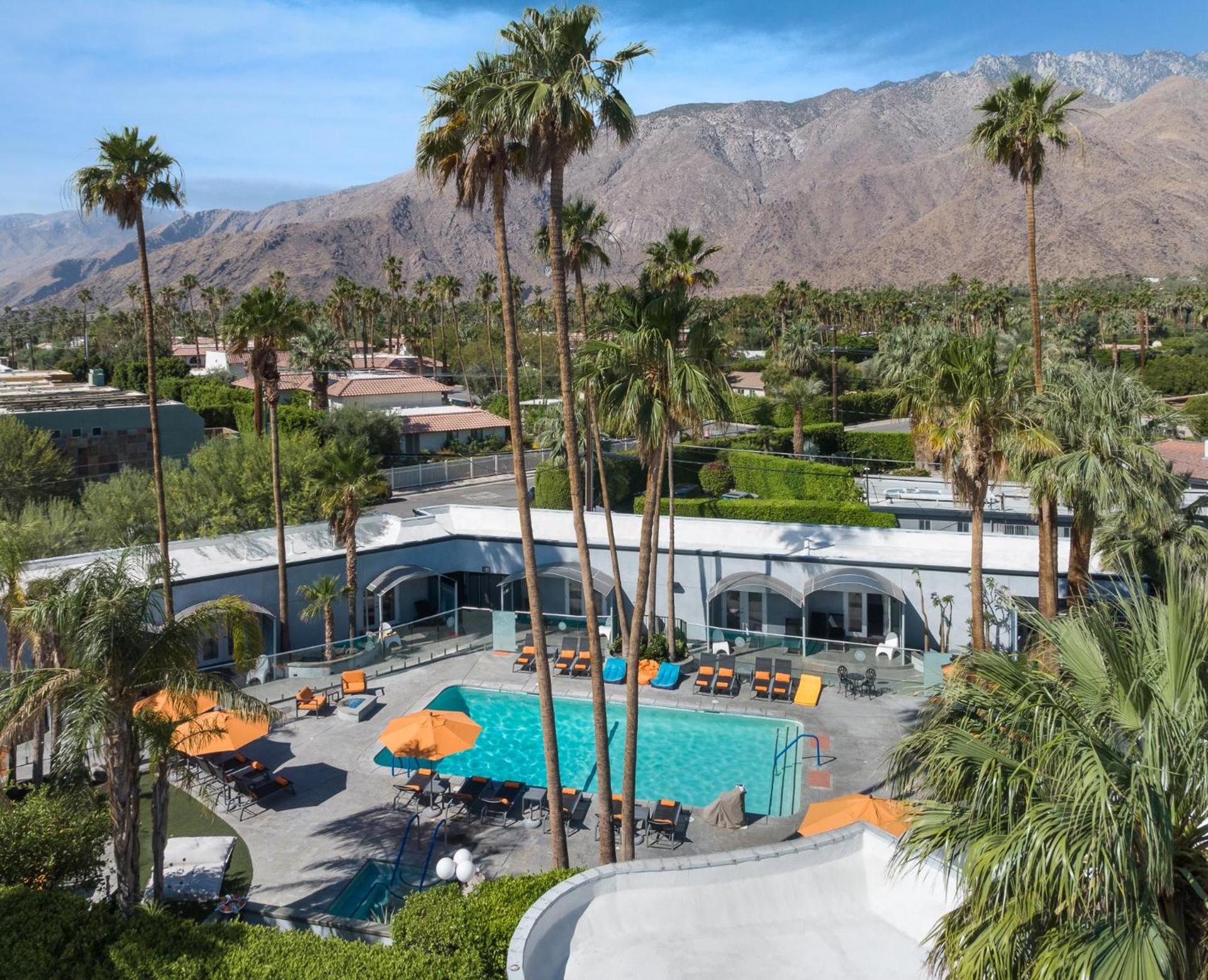 The Palm Springs Hotel photo 5