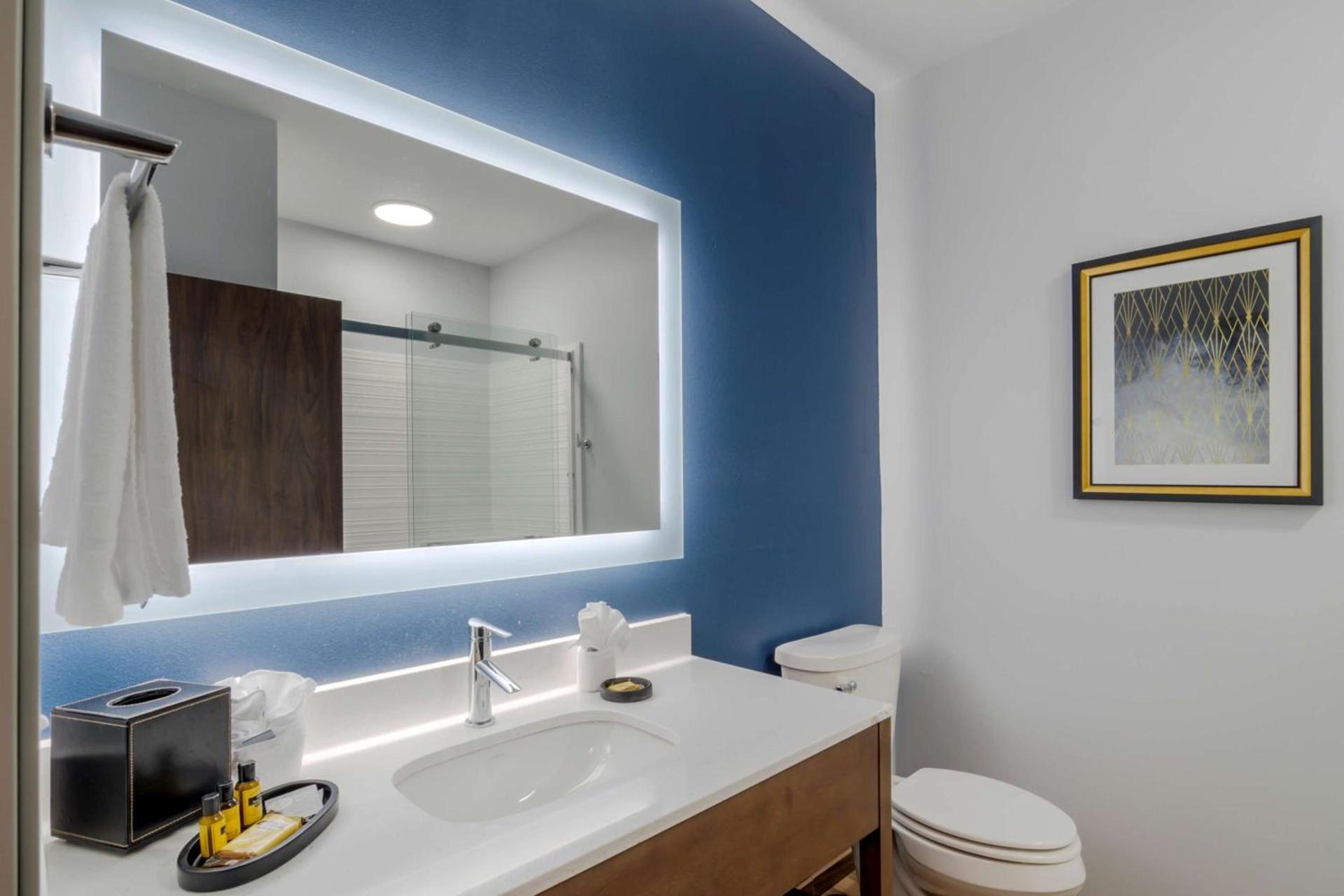 Hyatt Select St Louis Airport photo 22
