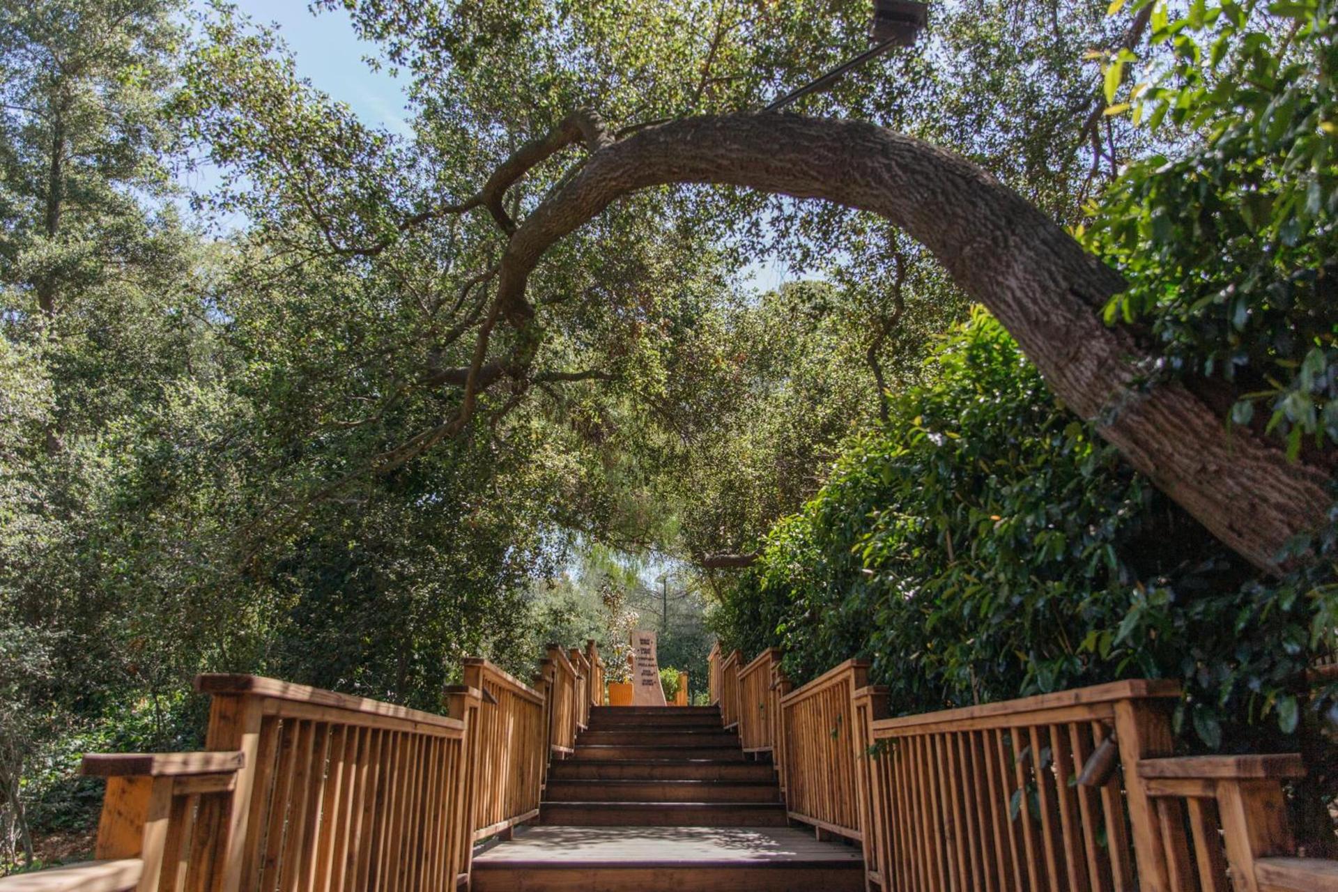 CALAMIGOS RANCH Resort & Spa photo 6