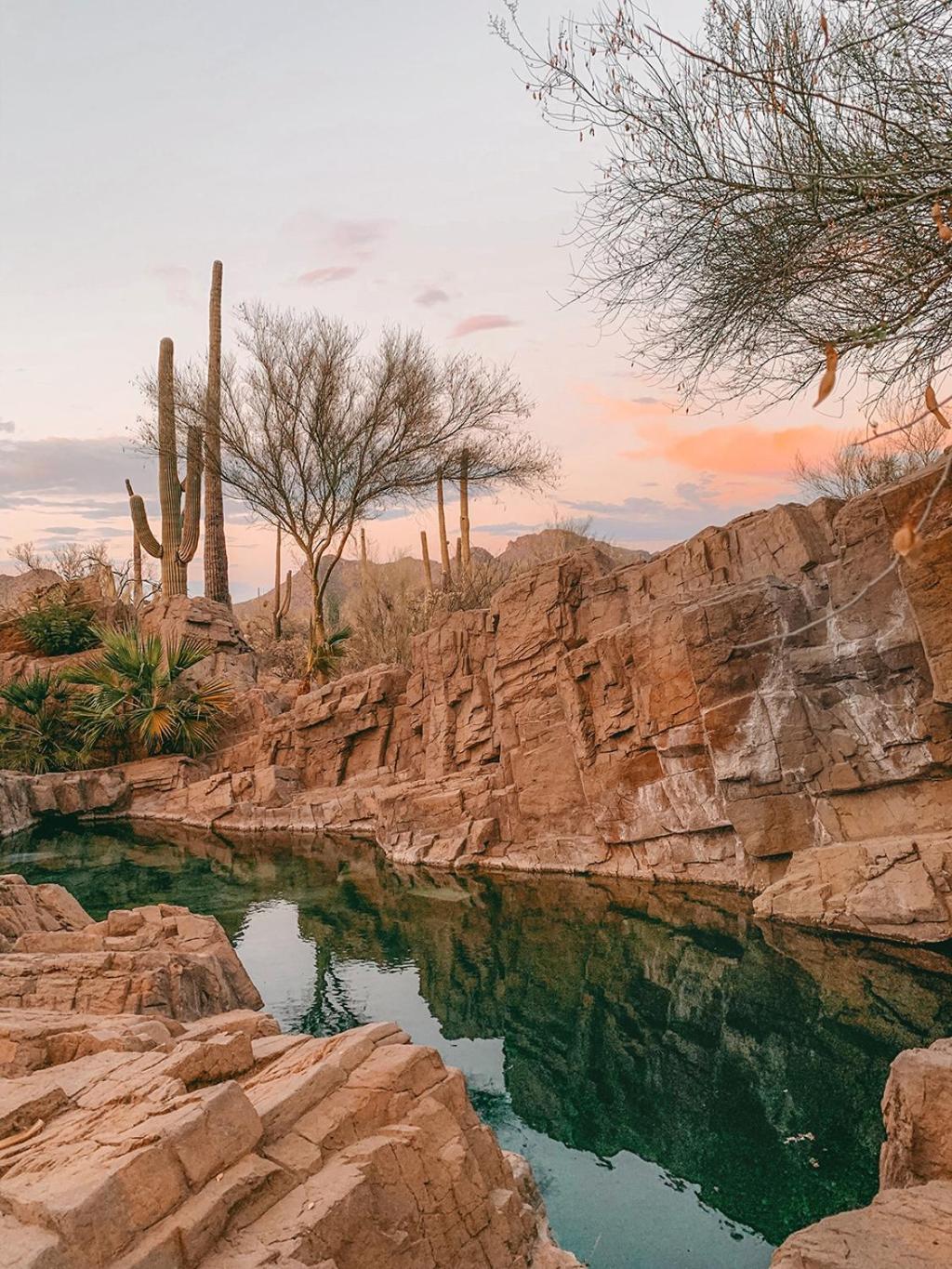 The JTH Tucson photo 8