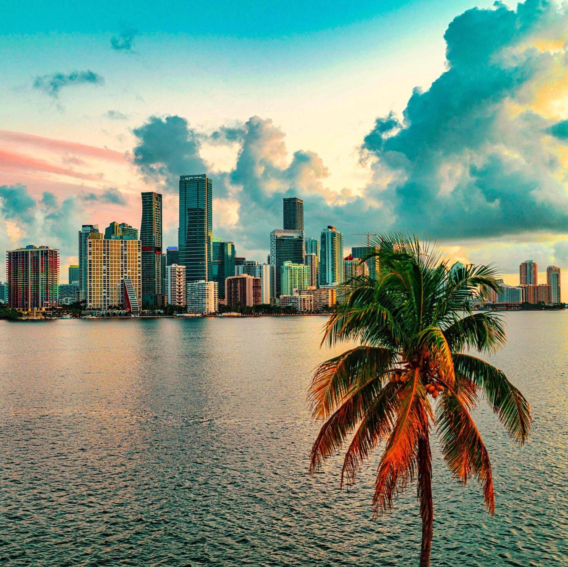 Atwell Suites Miami Brickell by IHG photo 33
