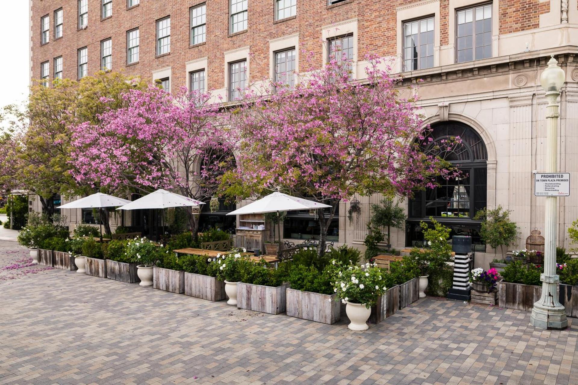 The Culver Hotel photo 33