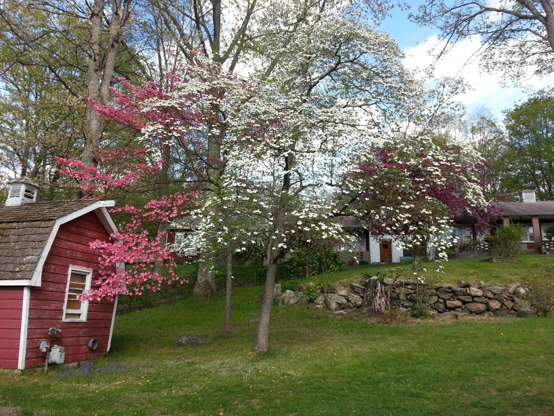 Heidi's Inn photo 10