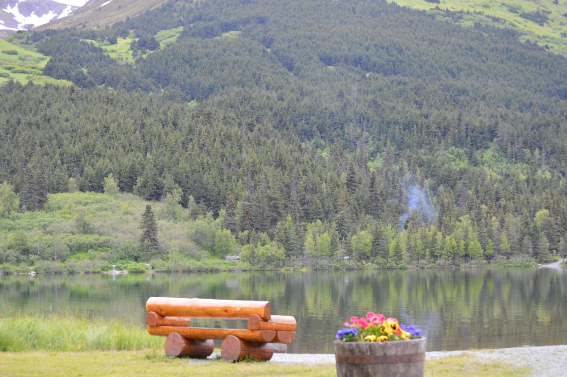 Summit Lake Lodge photo 69
