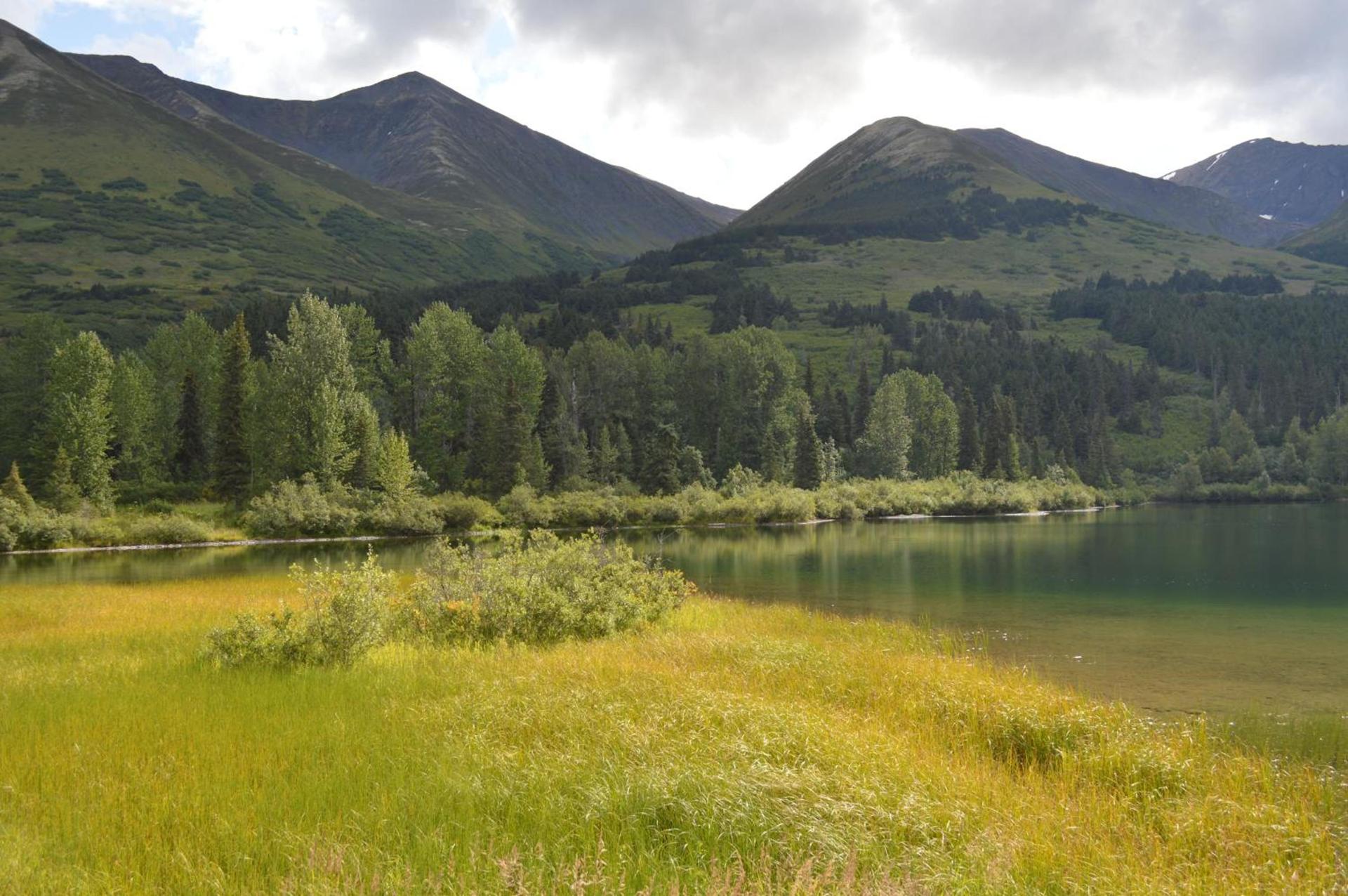 Summit Lake Lodge photo 67