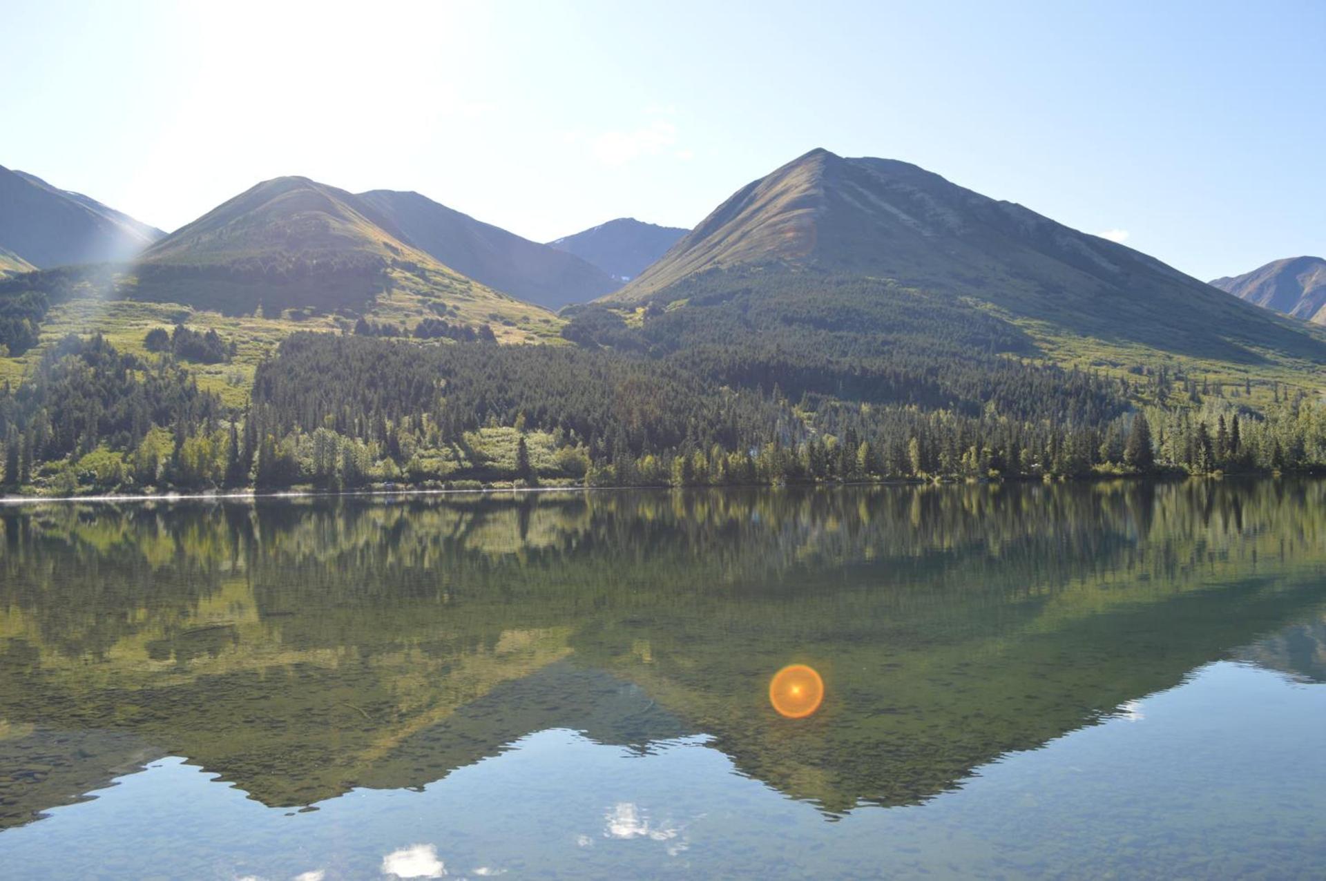 Summit Lake Lodge photo 41