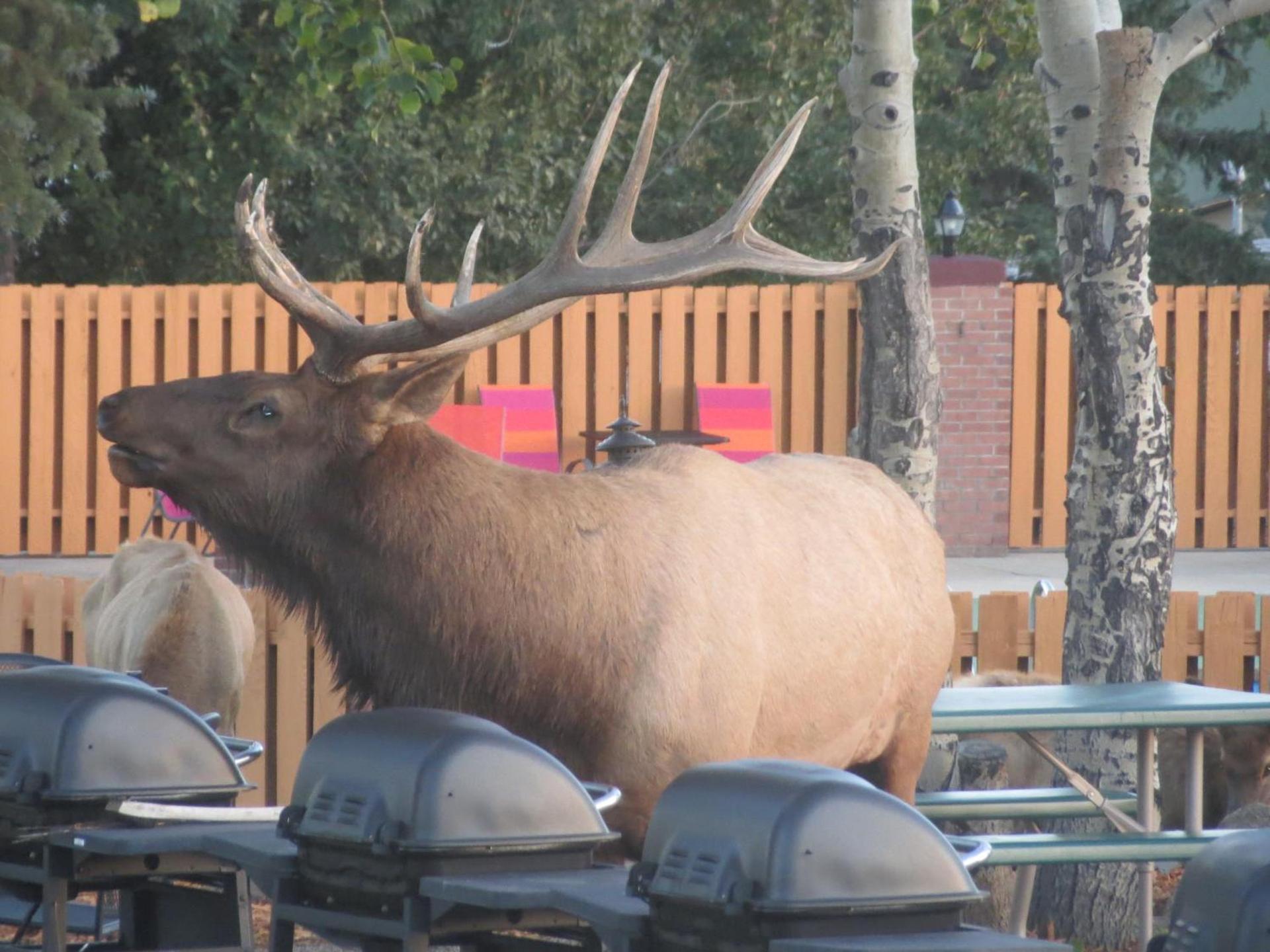 Murphy's Resort photo 7