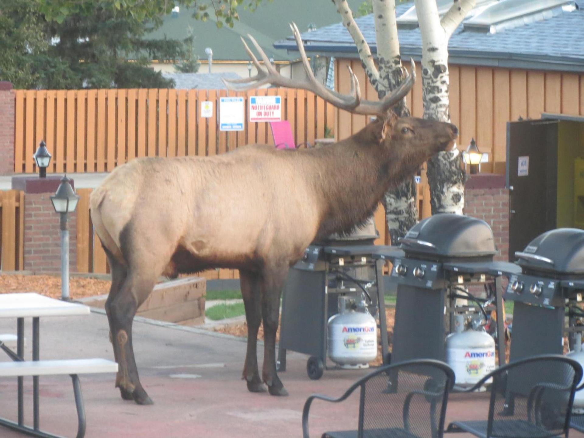 Murphy's Resort photo 22