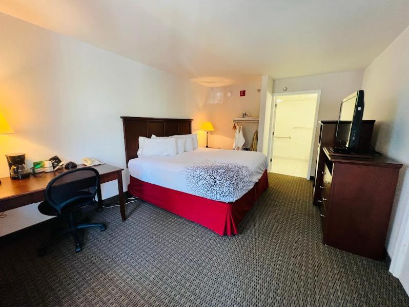 Celebrity Inn photo 9
