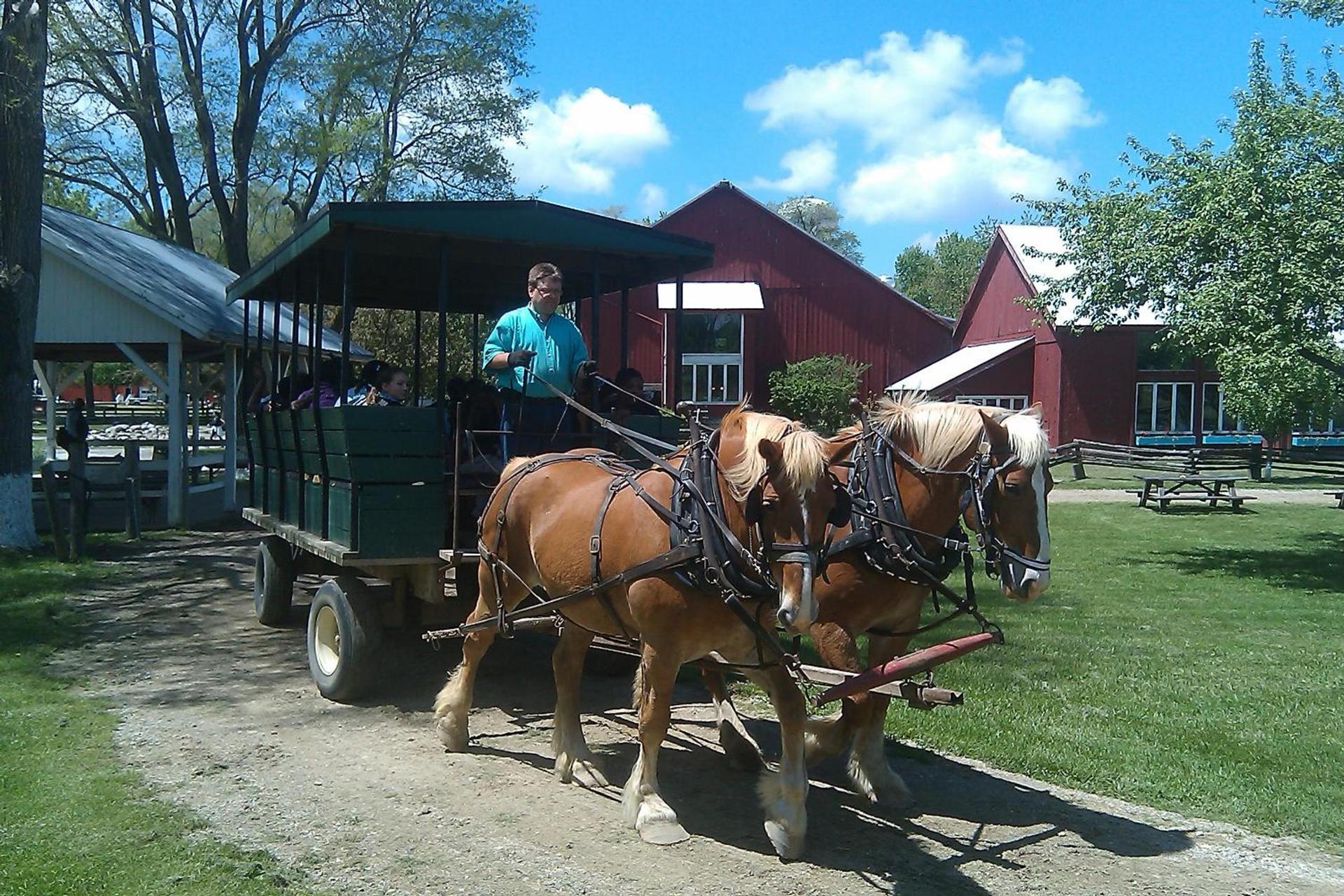 Amish Inn photo 28