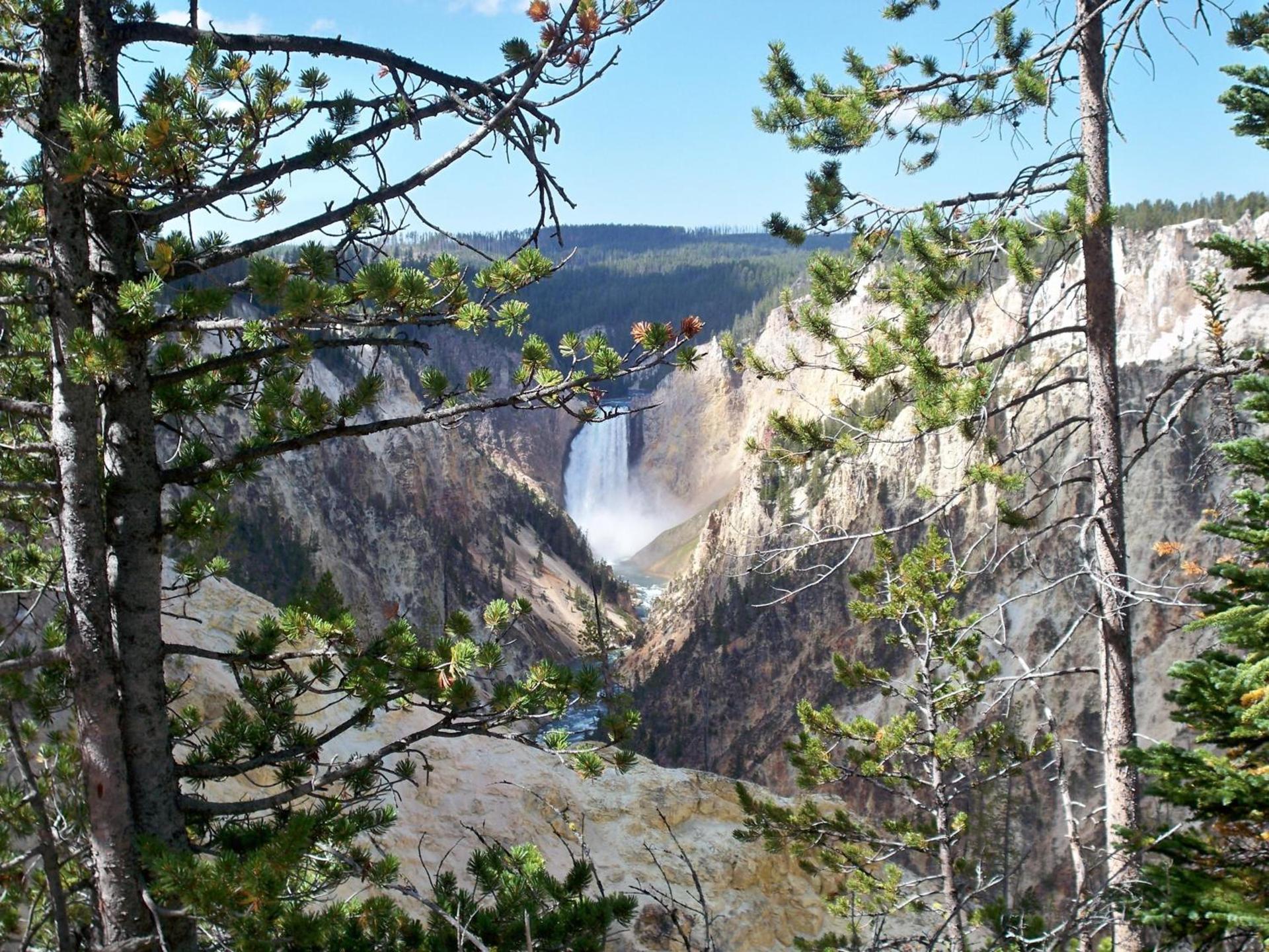 Super 8 by Wyndham Cody photo 40