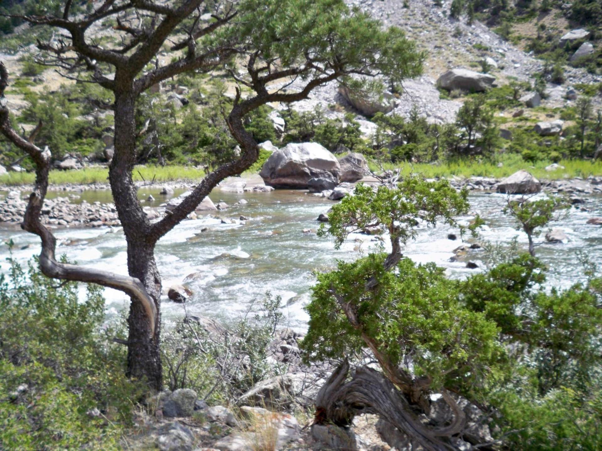 Super 8 by Wyndham Cody photo 44