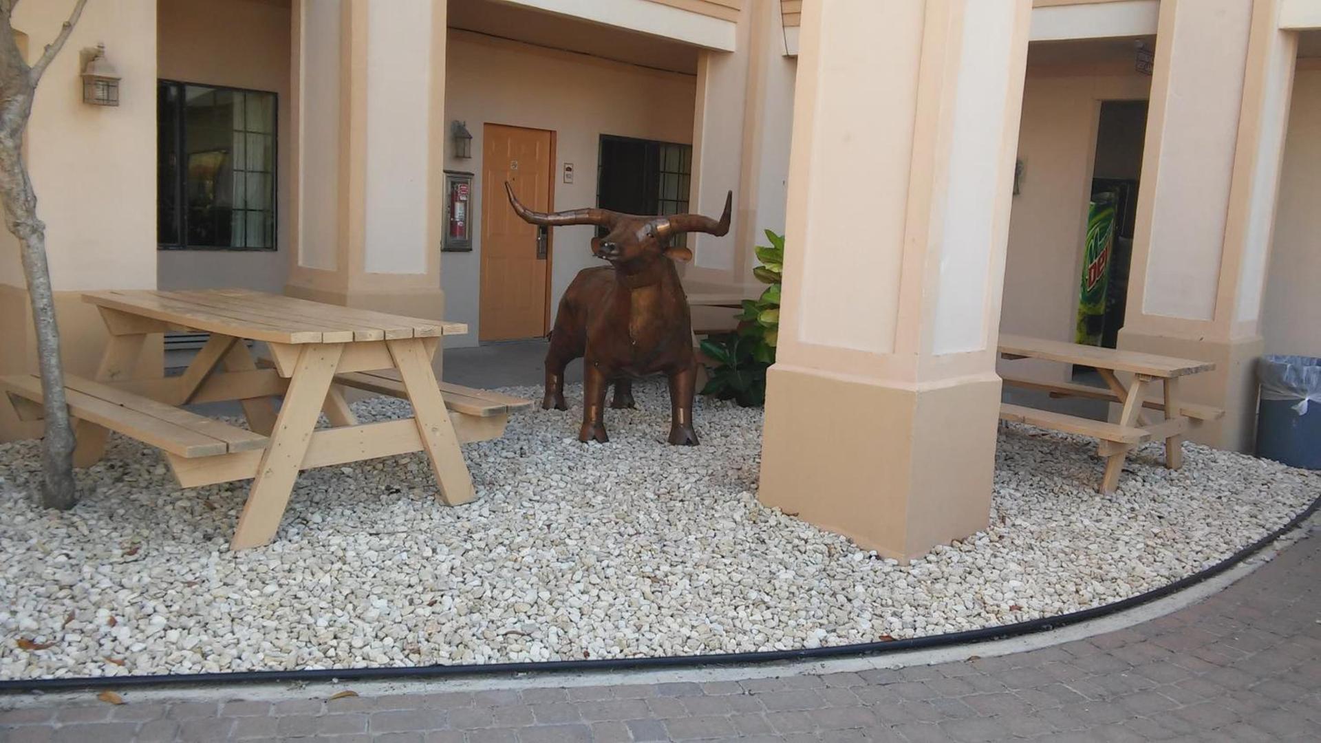 Casa Rosa Inn photo 24