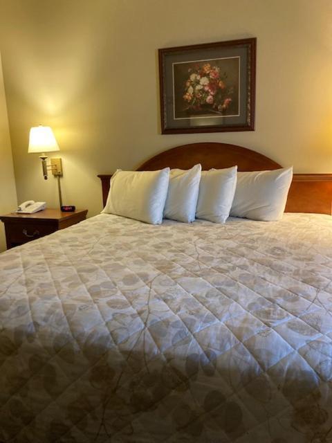 Sandhills Guest House Motel photo 29