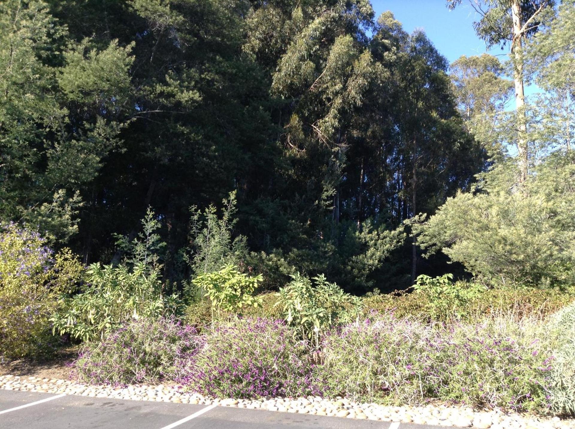 The Inn at Pasatiempo photo 9