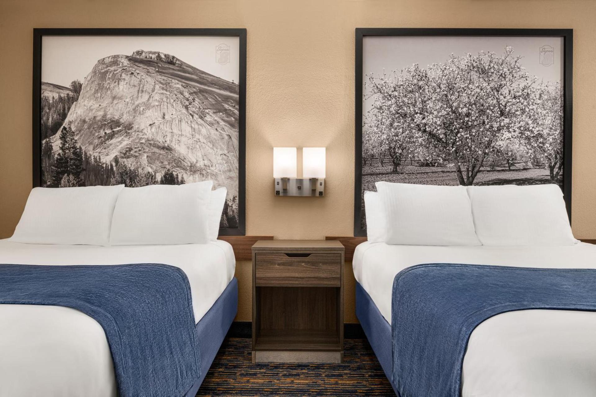 Super 8 by Wyndham Lindsay Olive Tree photo 35