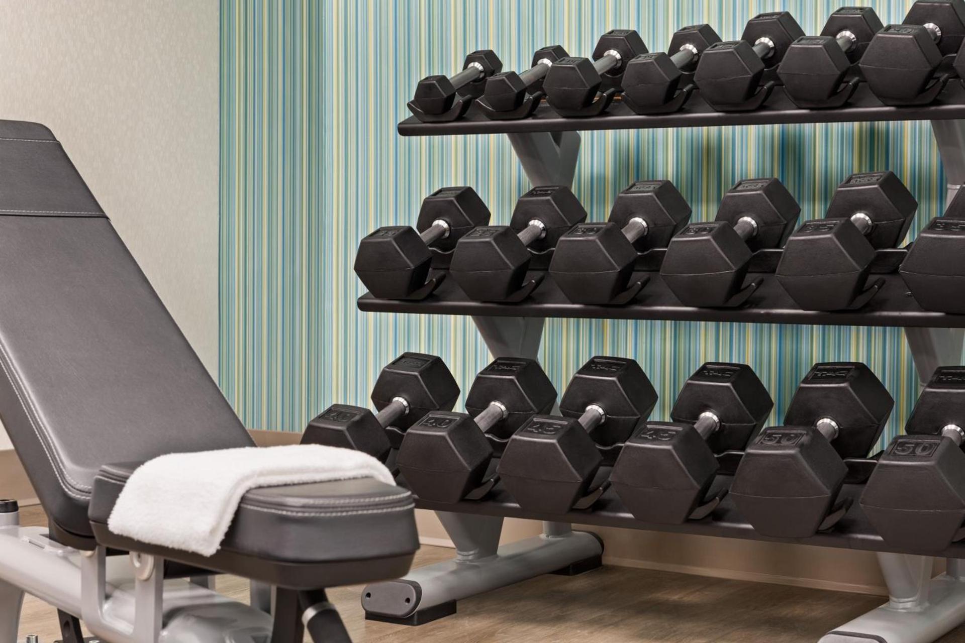 Holiday Inn Express & Suites Greenville-Downtown by IHG photo 11
