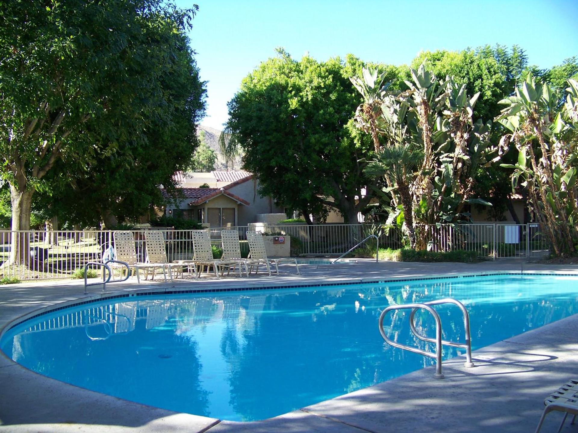 The Oasis Resort photo 40