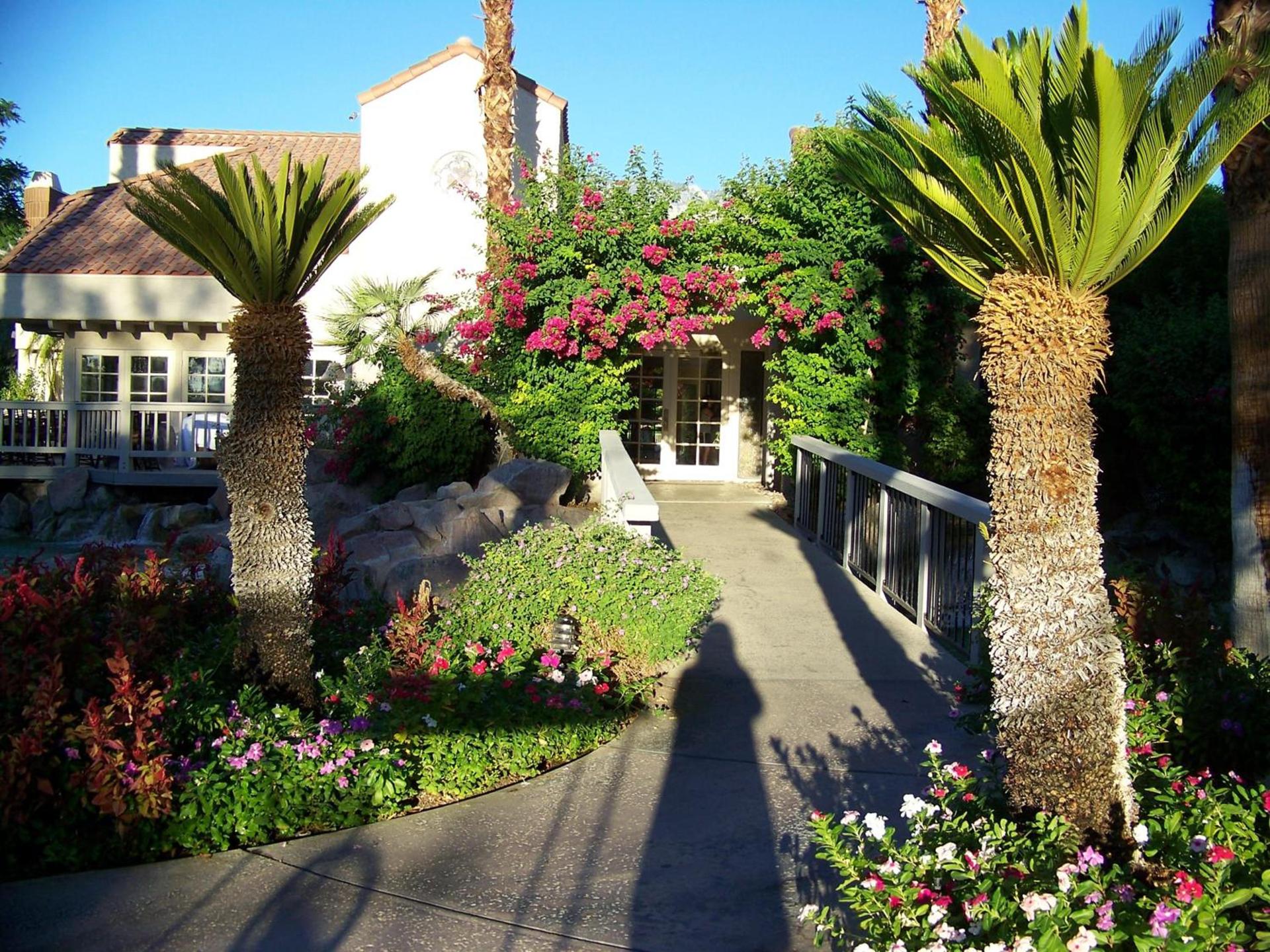 The Oasis Resort photo 39