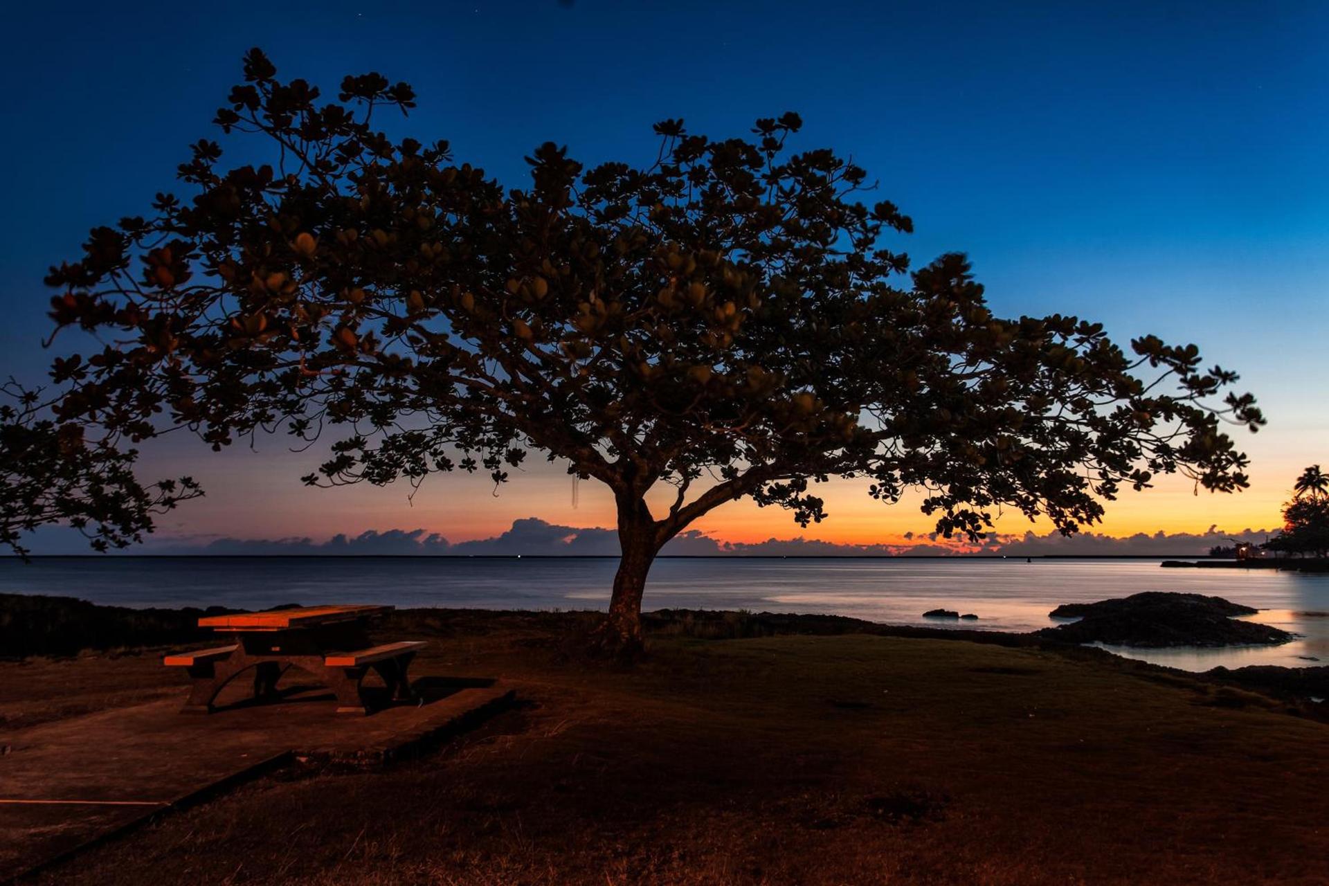Hilo Hawaiian Hotel, Trademark Collection by Wyndham photo 27