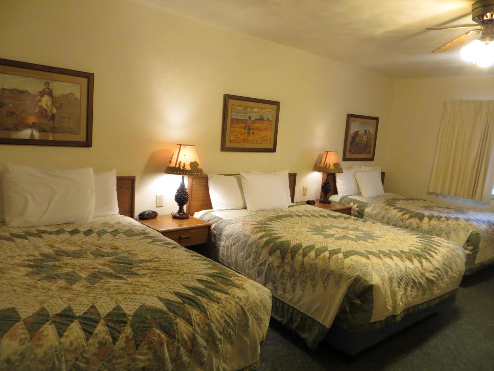 Chief Motel photo 24