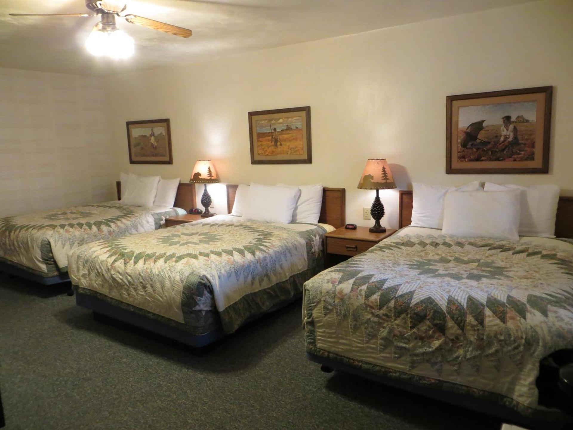 Chief Motel photo 37