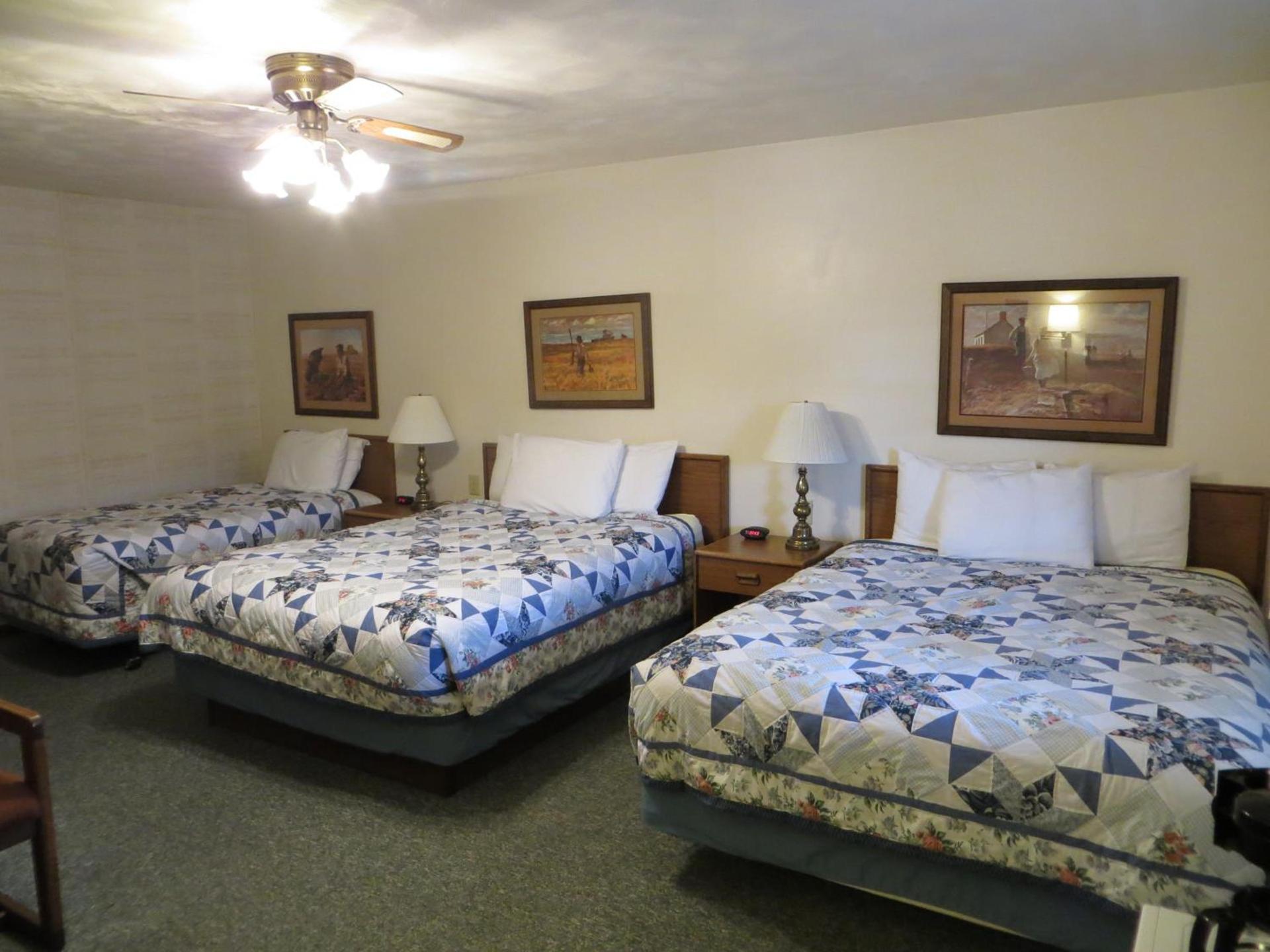 Chief Motel photo 46