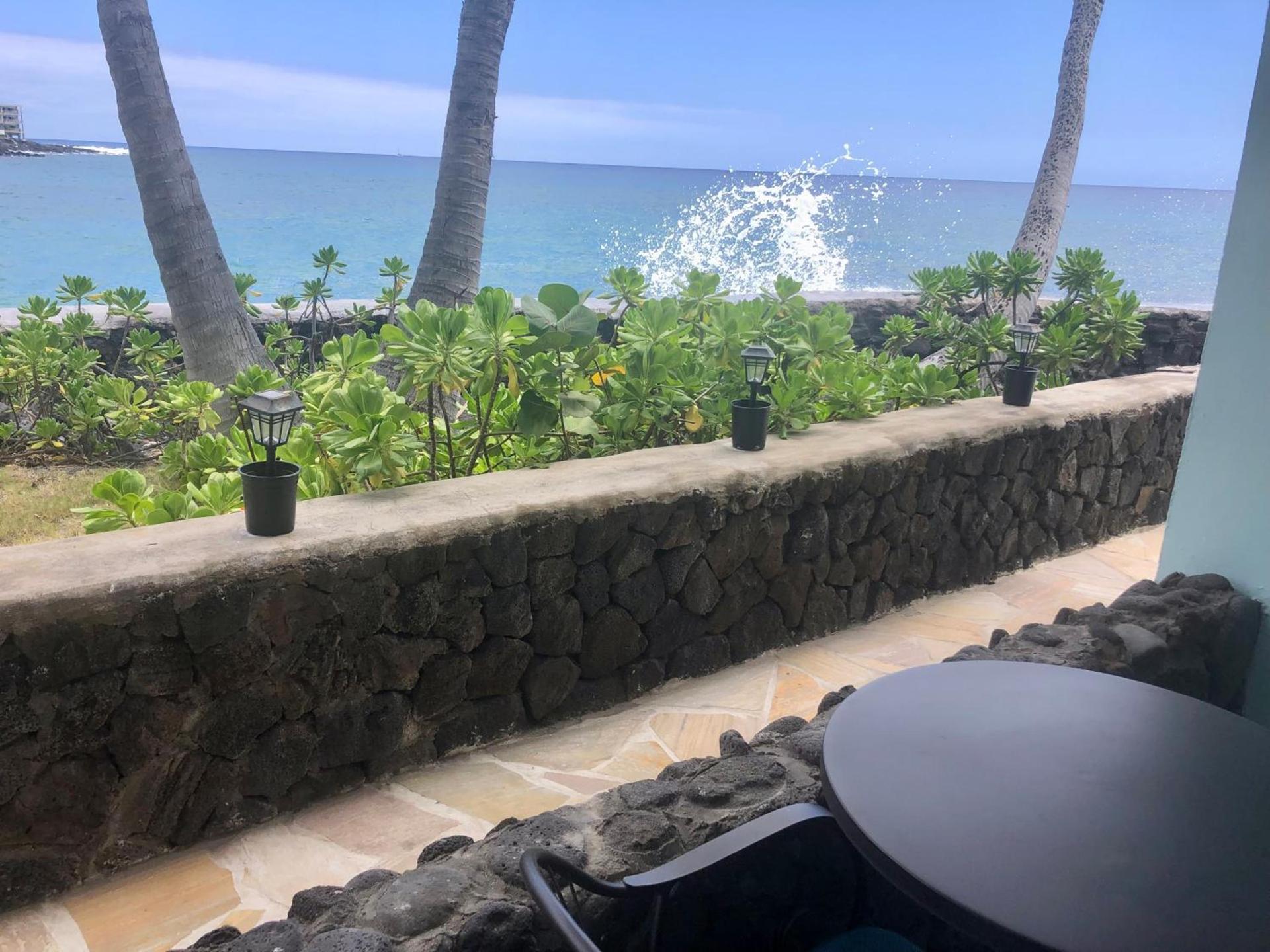 Kona Tiki Hotel - No Resort Fees photo 19