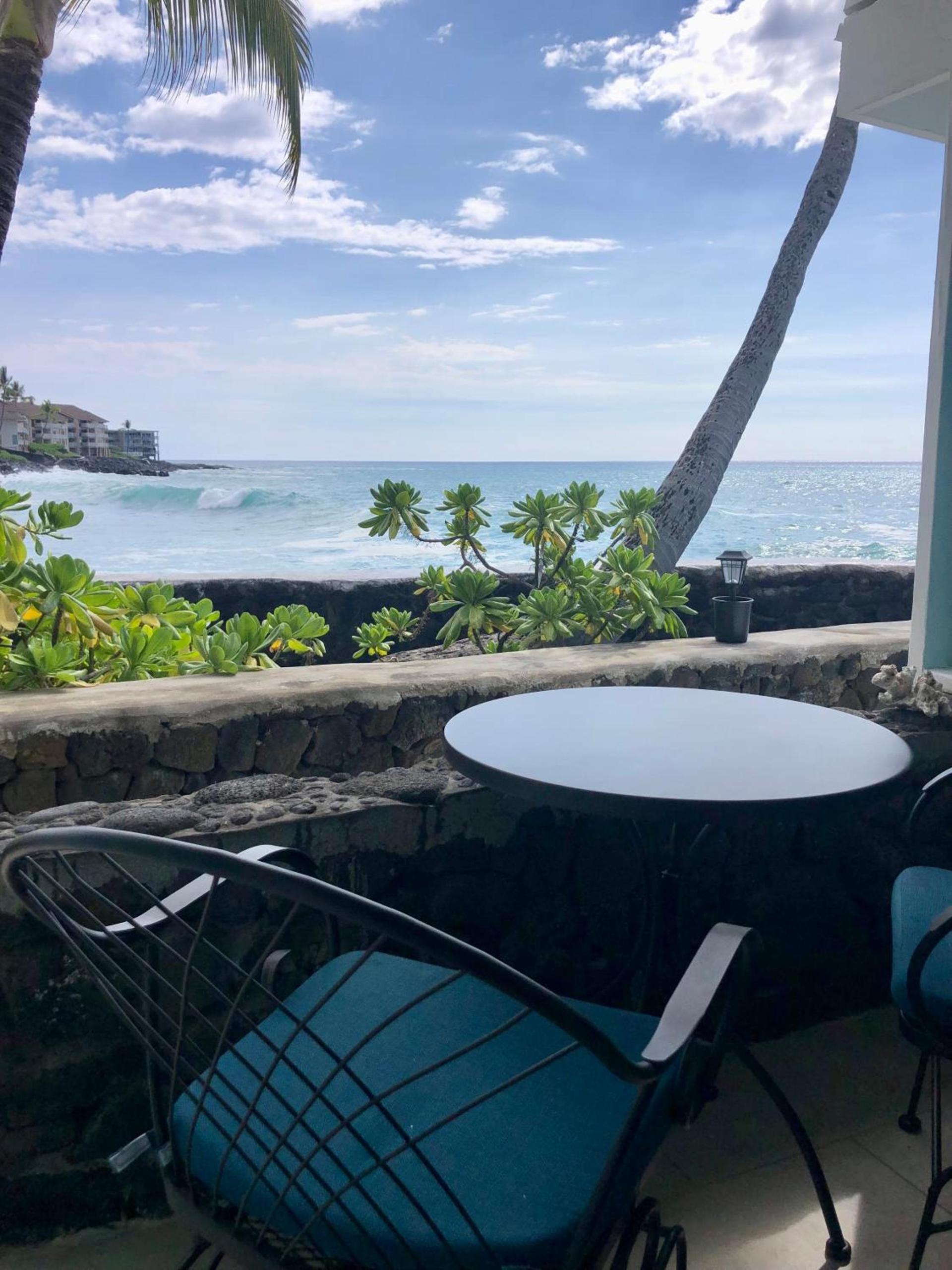 Kona Tiki Hotel - No Resort Fees photo 24